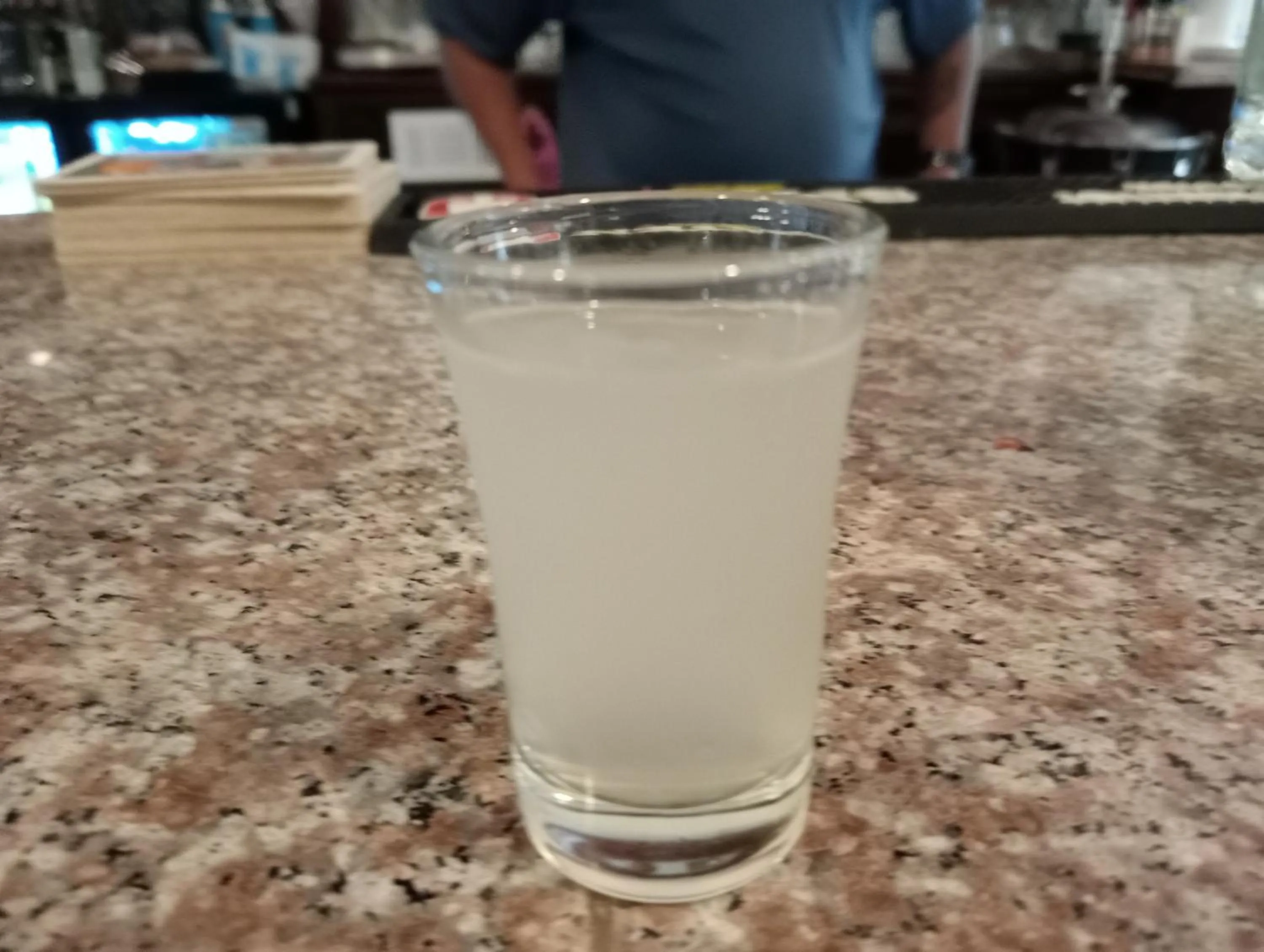 Lounge or bar in Villa Italia Hotel