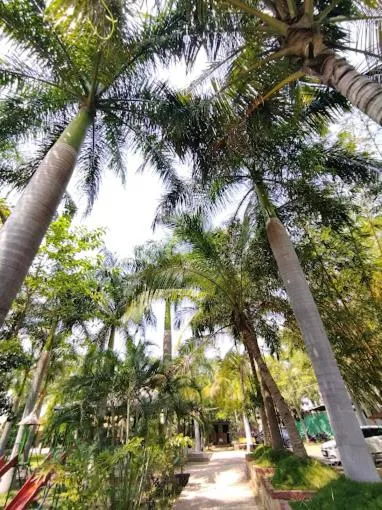 Day in Tadoba Tiger Valley Resort Tadoba