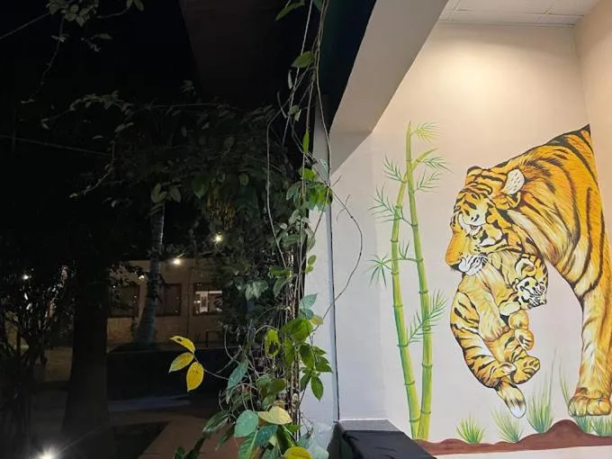 Night in Tadoba Tiger Valley Resort Tadoba