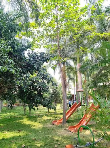 Day in Tadoba Tiger Valley Resort Tadoba