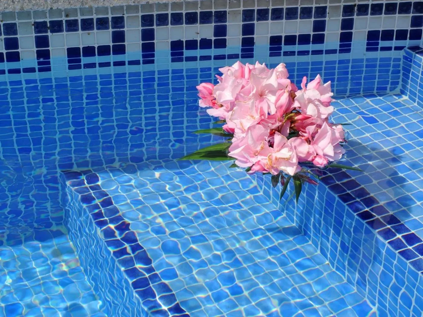 Swimming pool in Gerkens, bonita casa de tres dormitorios con piscina comunitaria en Escala