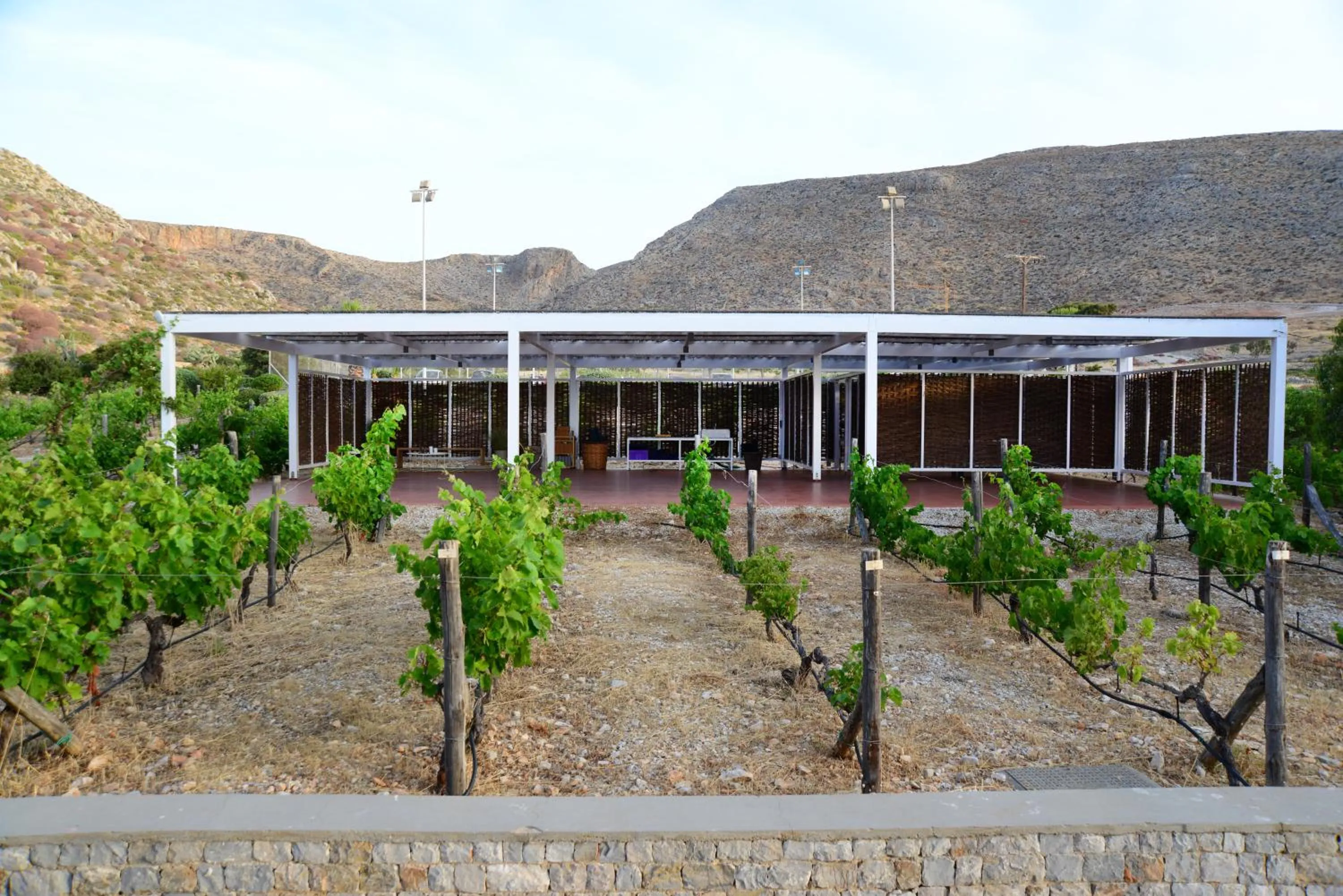 Spa and wellness centre/facilities in ANEMI Folegandros