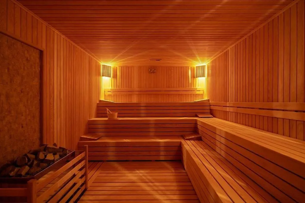 Sauna in Afyon Regulus Thermal Apart Hotel & Villas