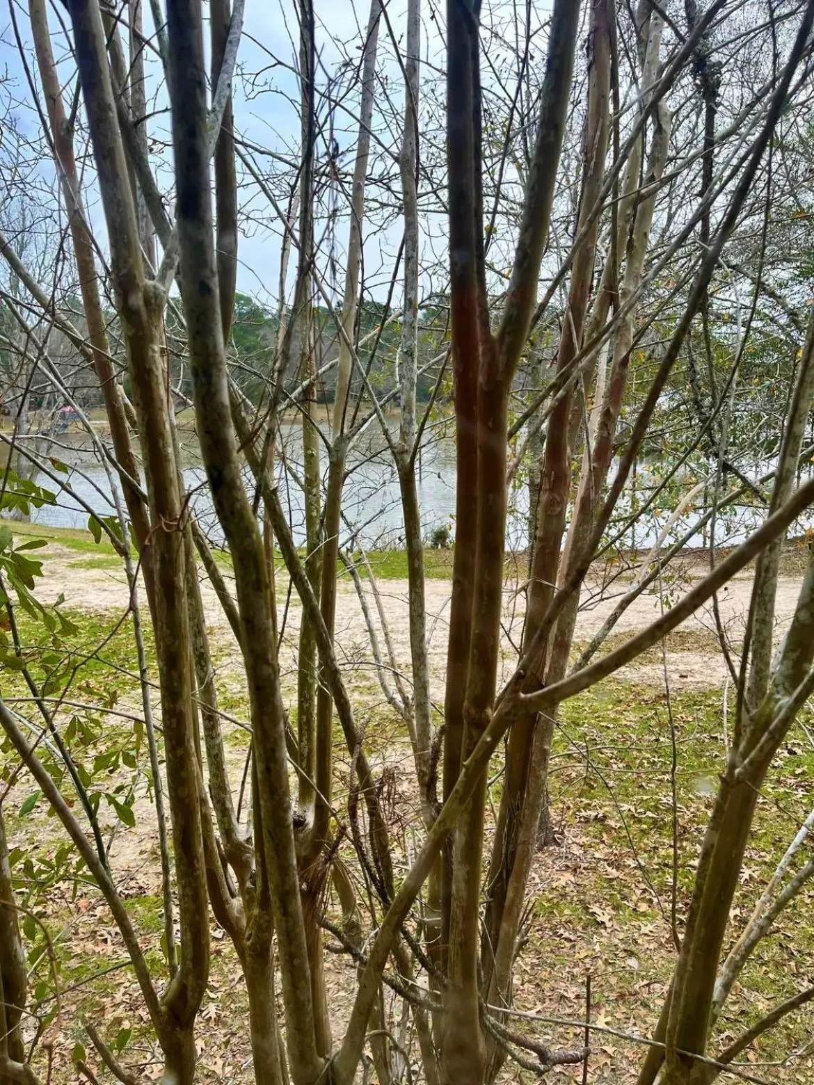 Outback Campground and Marina