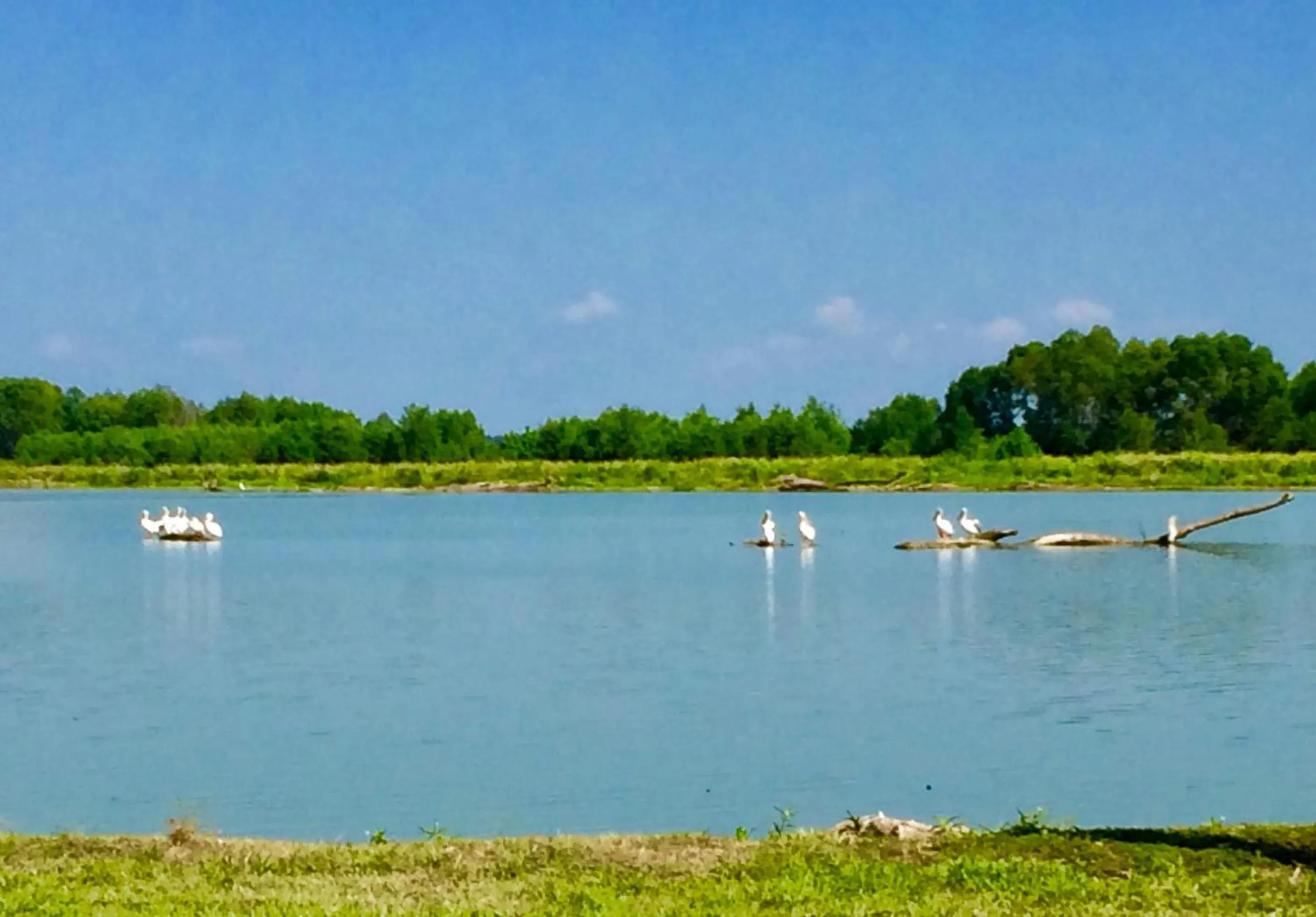 Lake view in Outback Campground and Marina