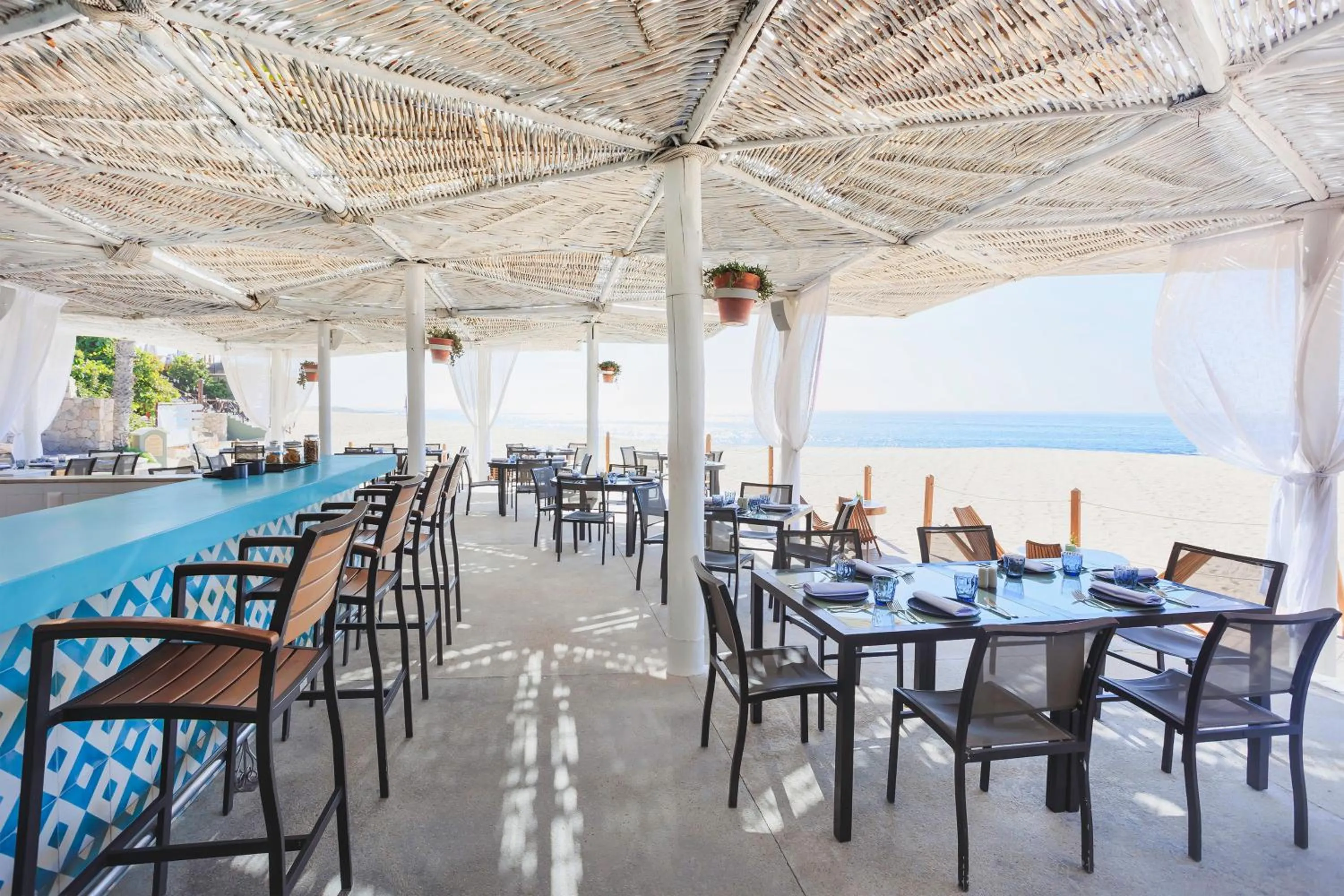 Restaurant/places to eat in The Club at Hacienda del Mar