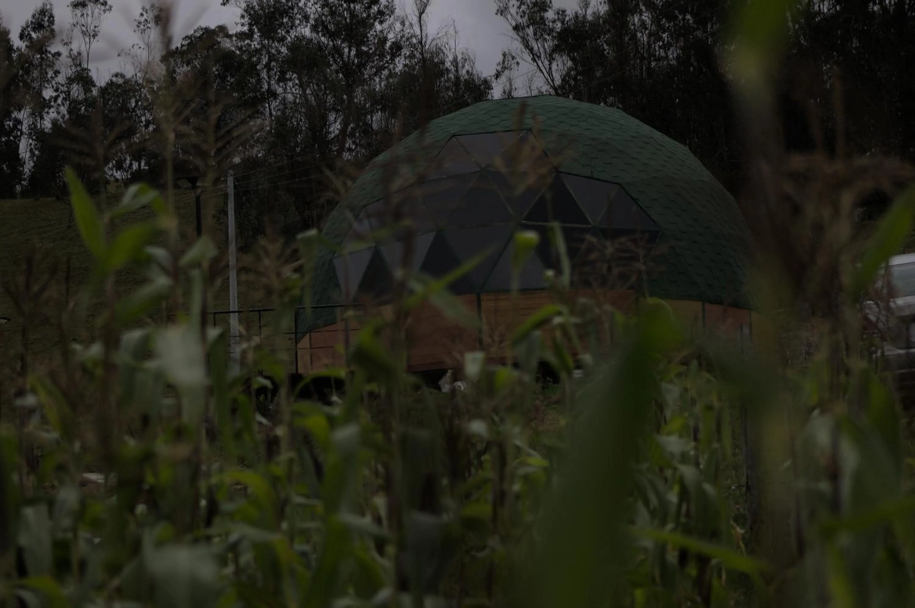 Property building in Glamping San Sebastian