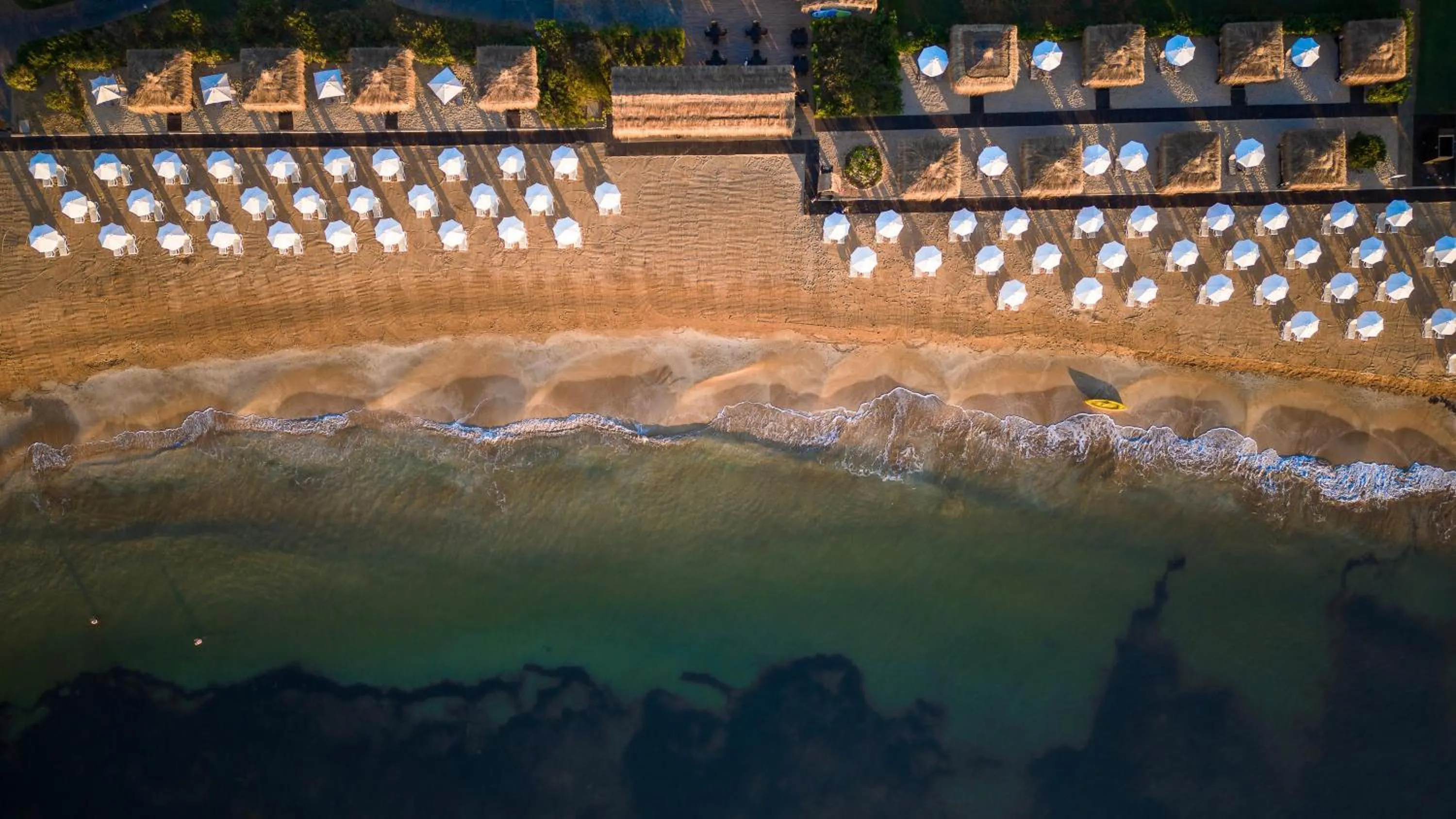 Beach in Concorde Luxury Resort & Casino