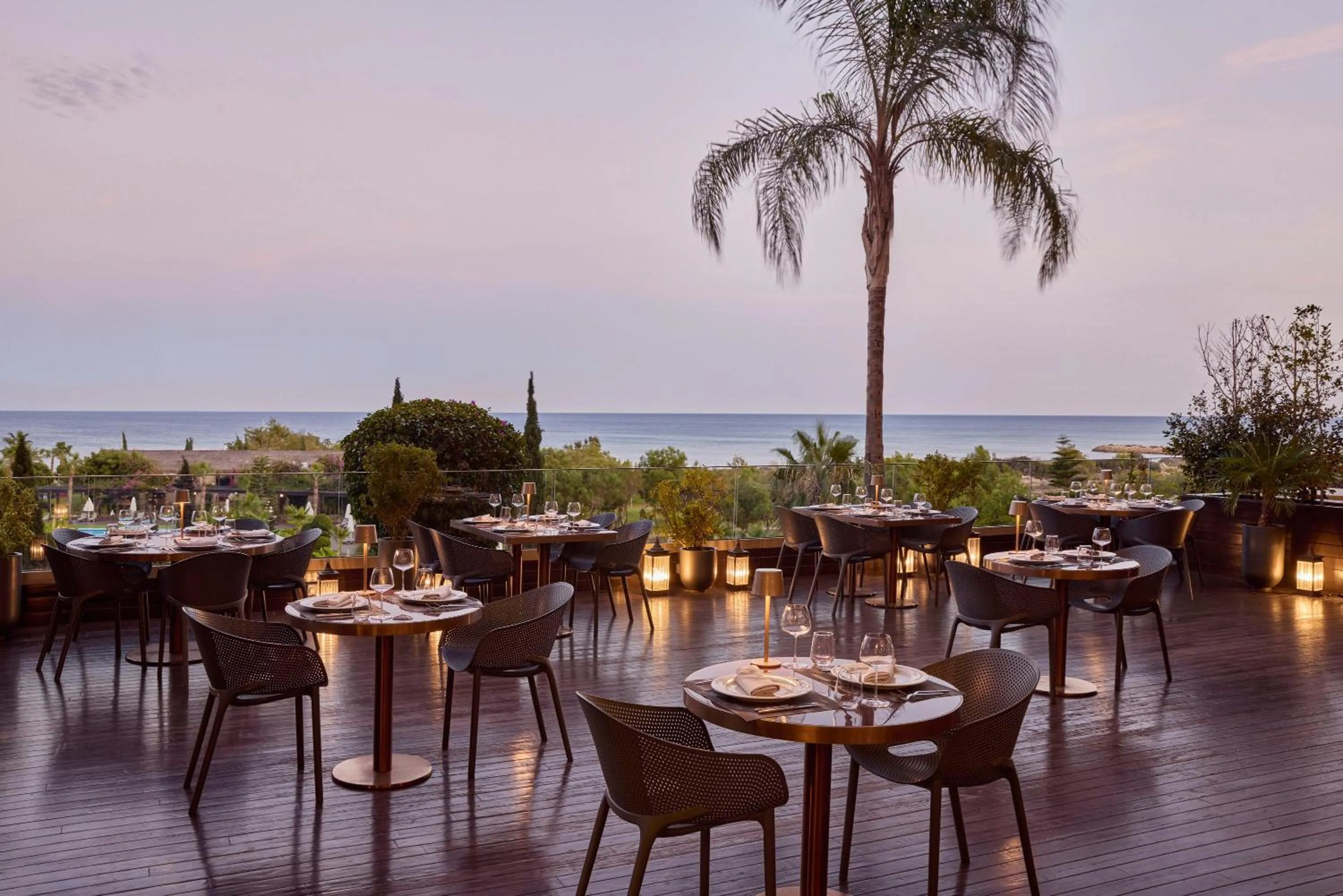 Restaurant/places to eat in Concorde Luxury Resort & Casino