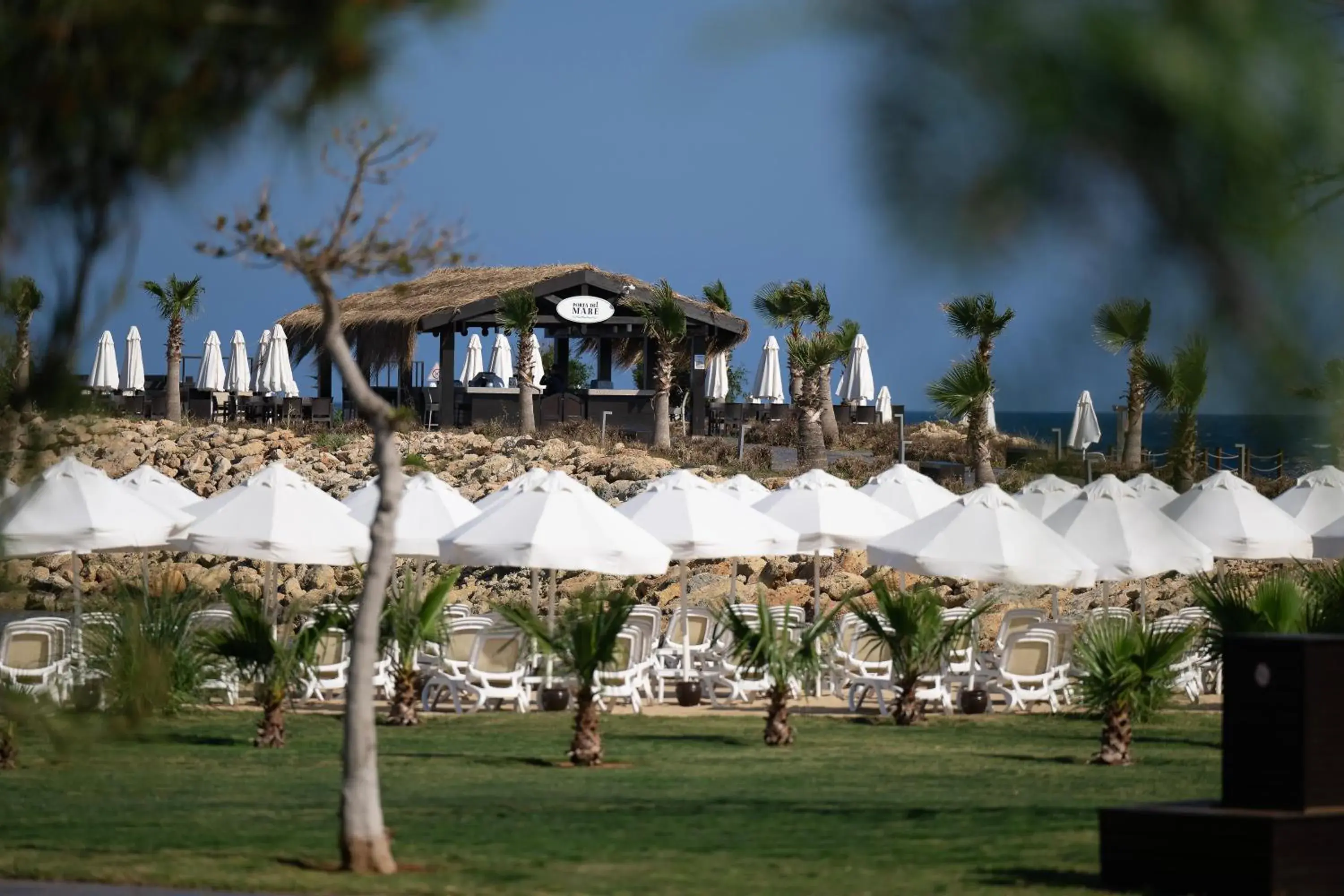 Lounge or bar in Concorde Luxury Resort & Casino Lounge or bar in Concorde Luxury Resort & Casino