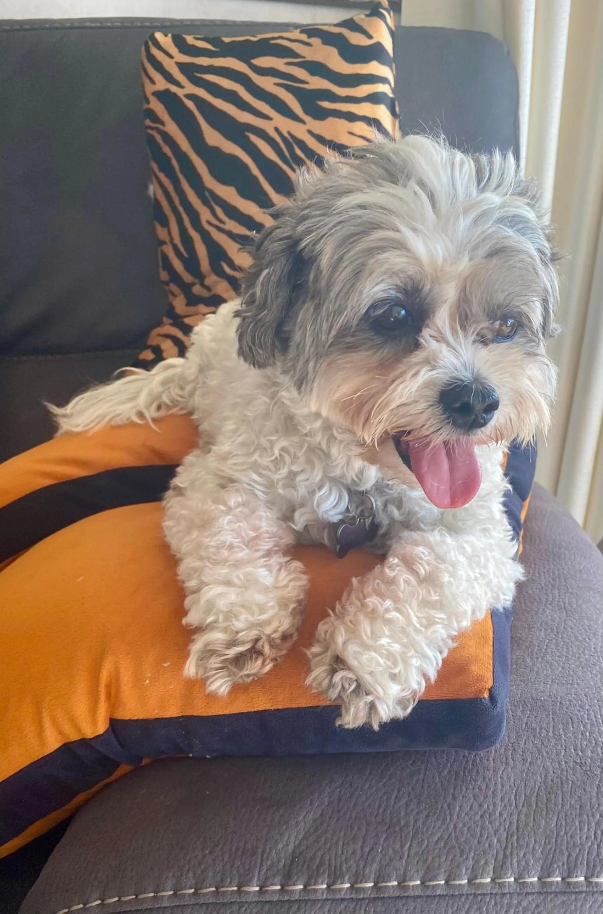 Maison Blue - Chic Garden Apartment - Pet Friendly