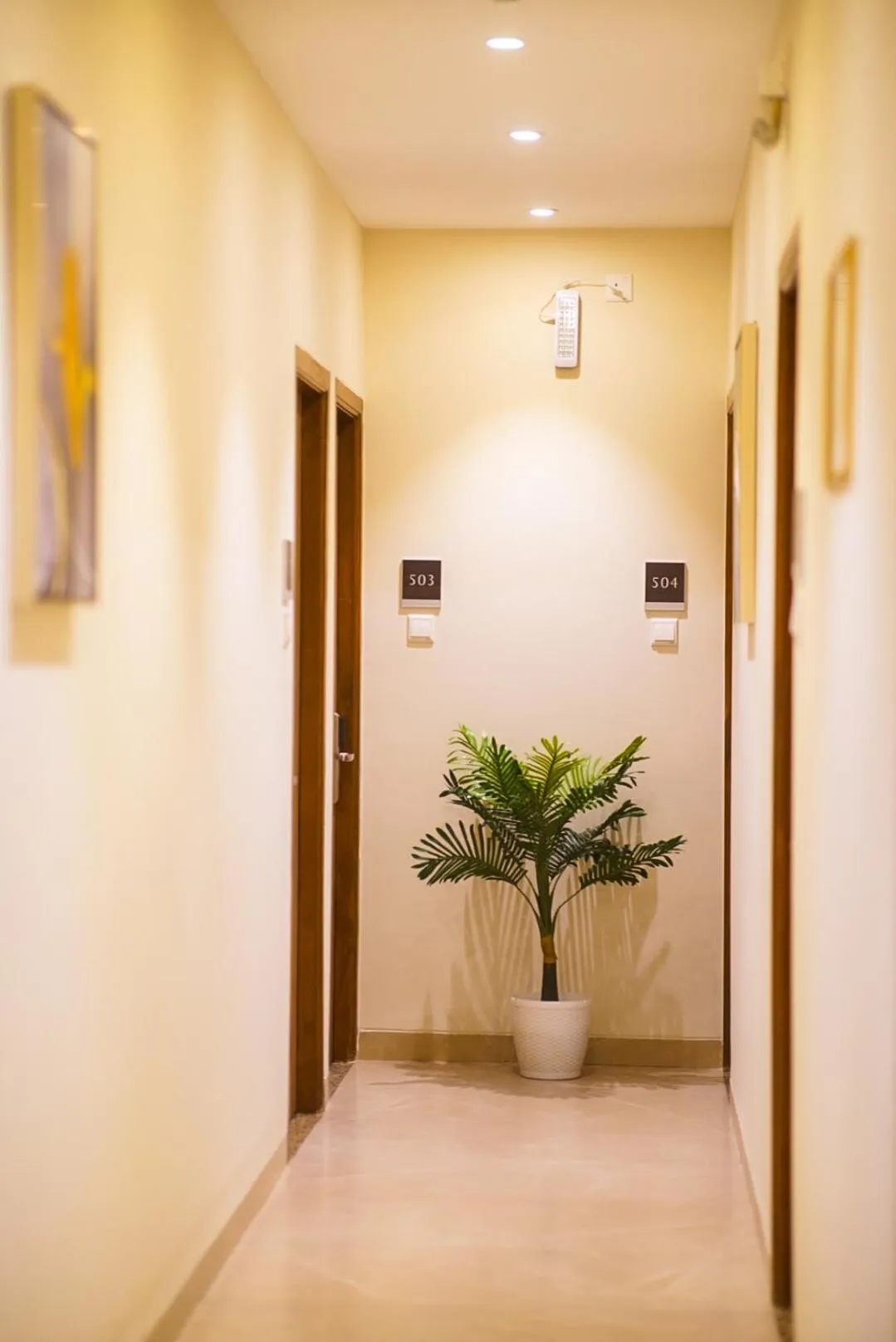 Lobby or reception in Hotel Flora