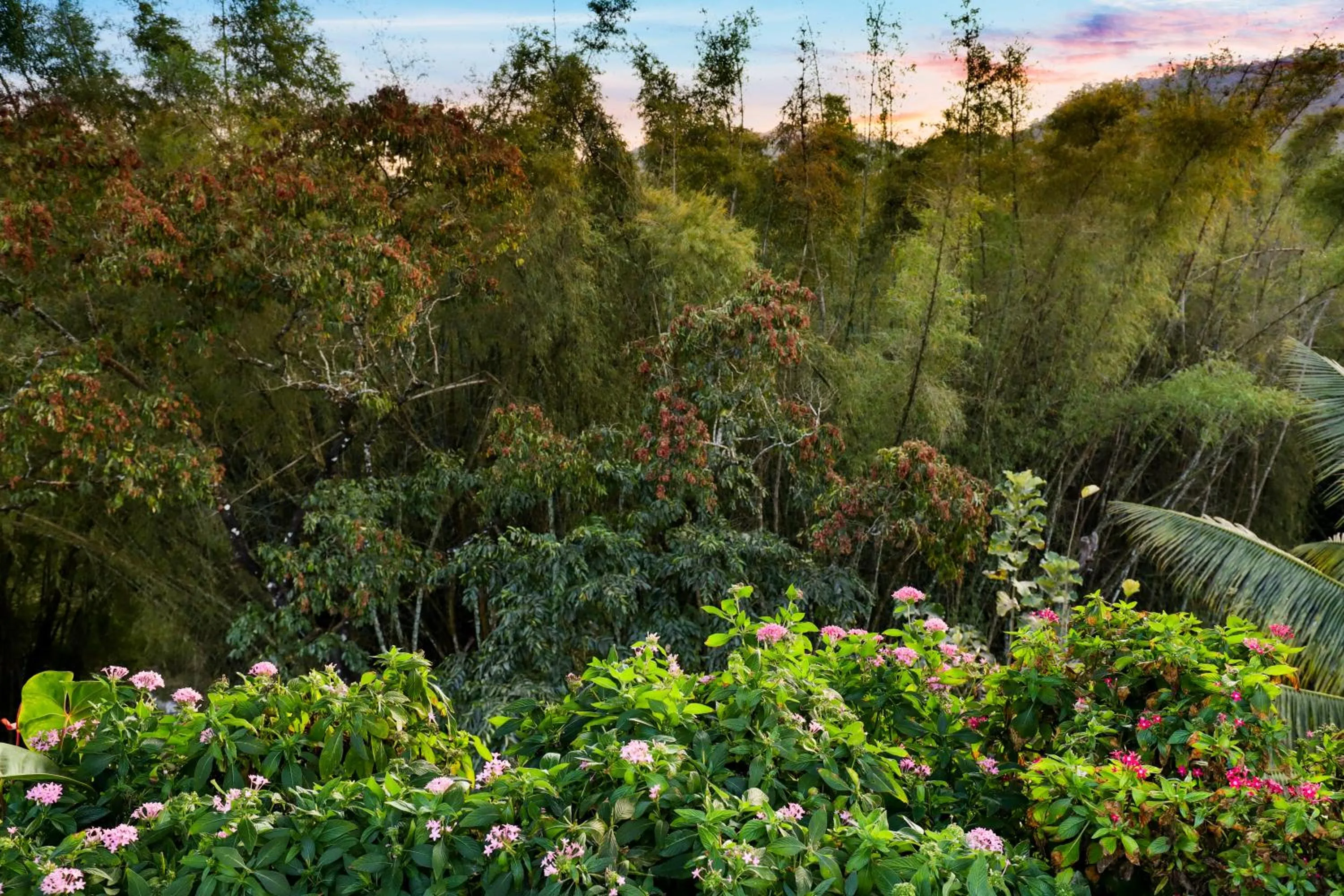 View (from property/room) in Keys Prima By Lemon Tree Hotels, Thekkady