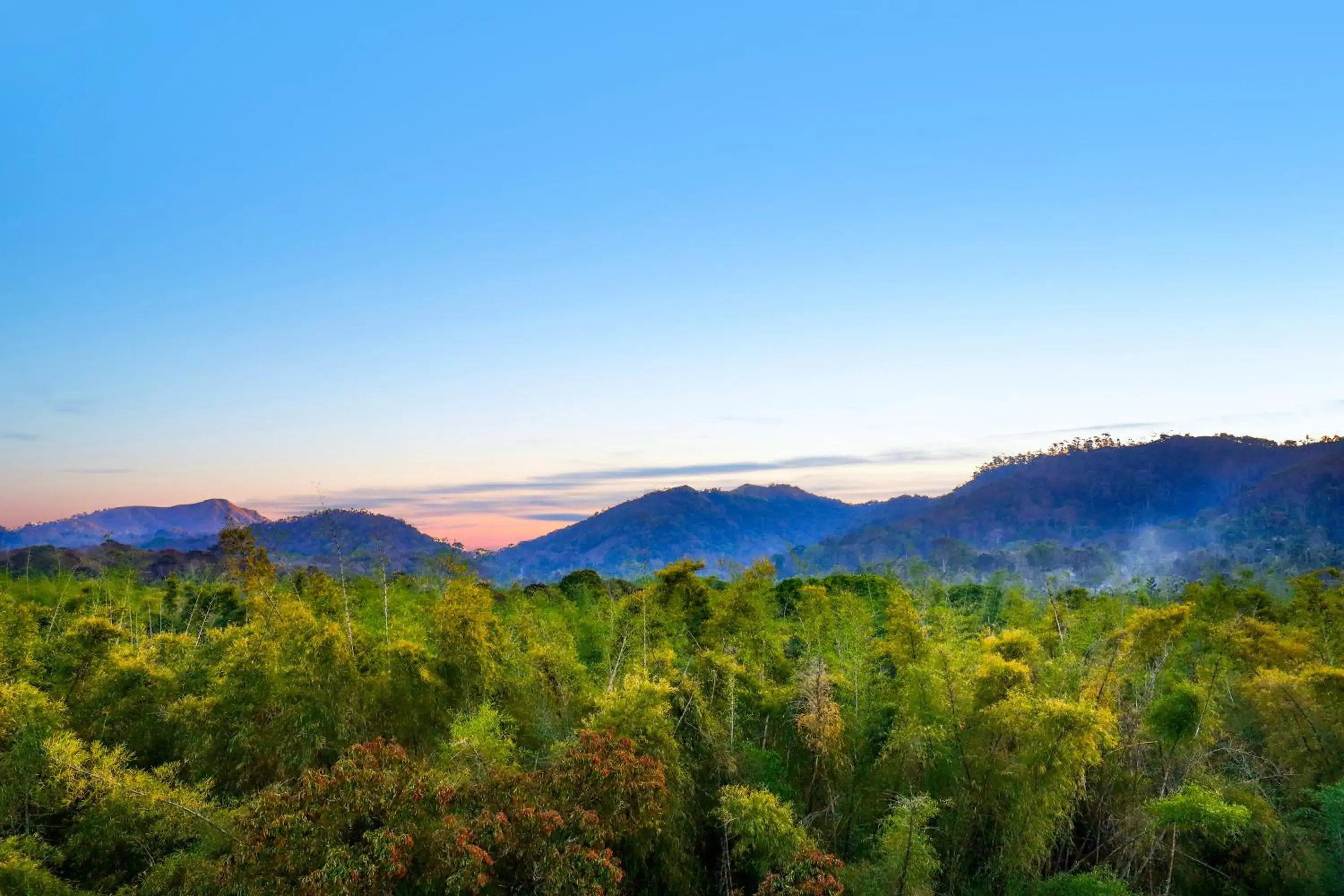 Mountain view in Keys Prima By Lemon Tree Hotels, Thekkady Mountain view in Keys Prima By Lemon Tree Hotels, Thekkady