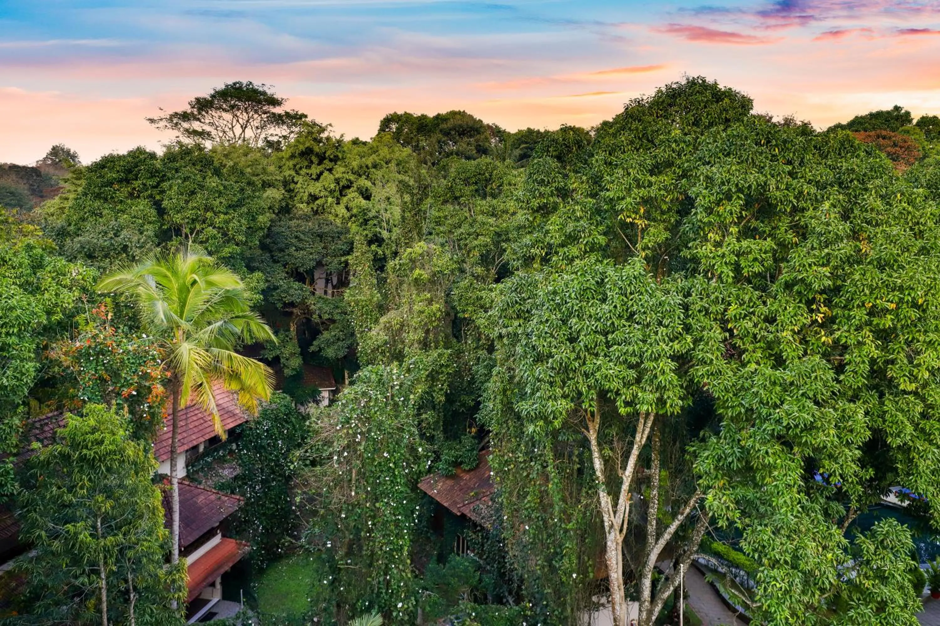 View (from property/room) in Keys Prima By Lemon Tree Hotels, Thekkady