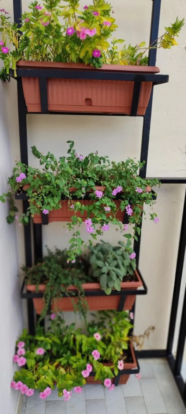 Balcony/Terrace in Edahouse