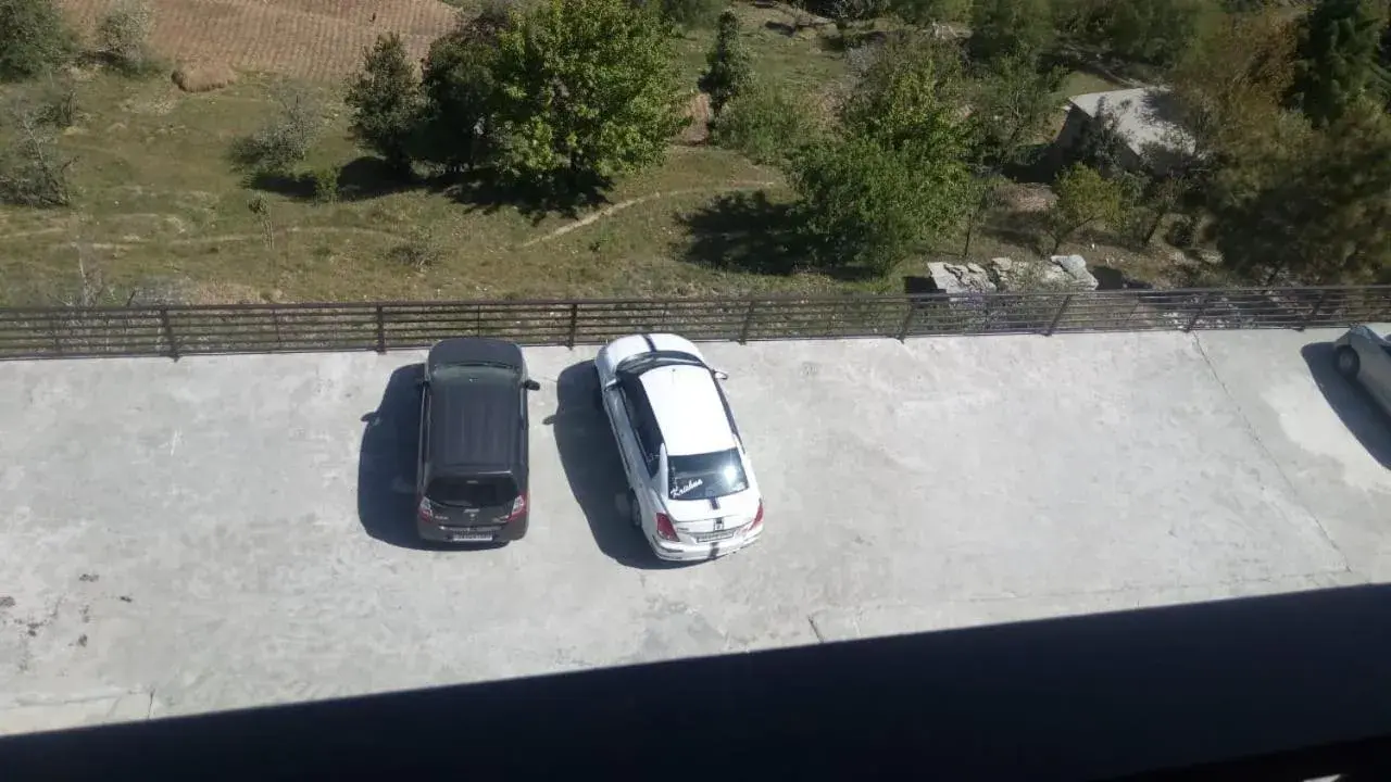 Brahma Kamal Brahma Kamal