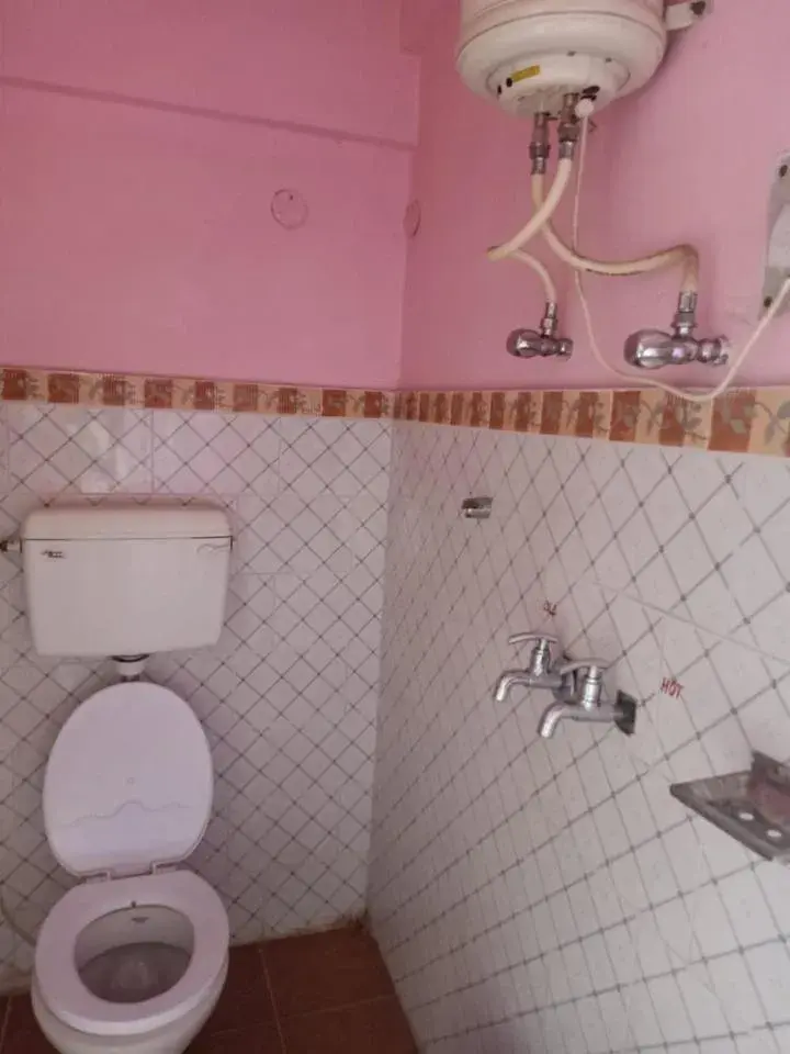 Brahma Kamal Brahma Kamal