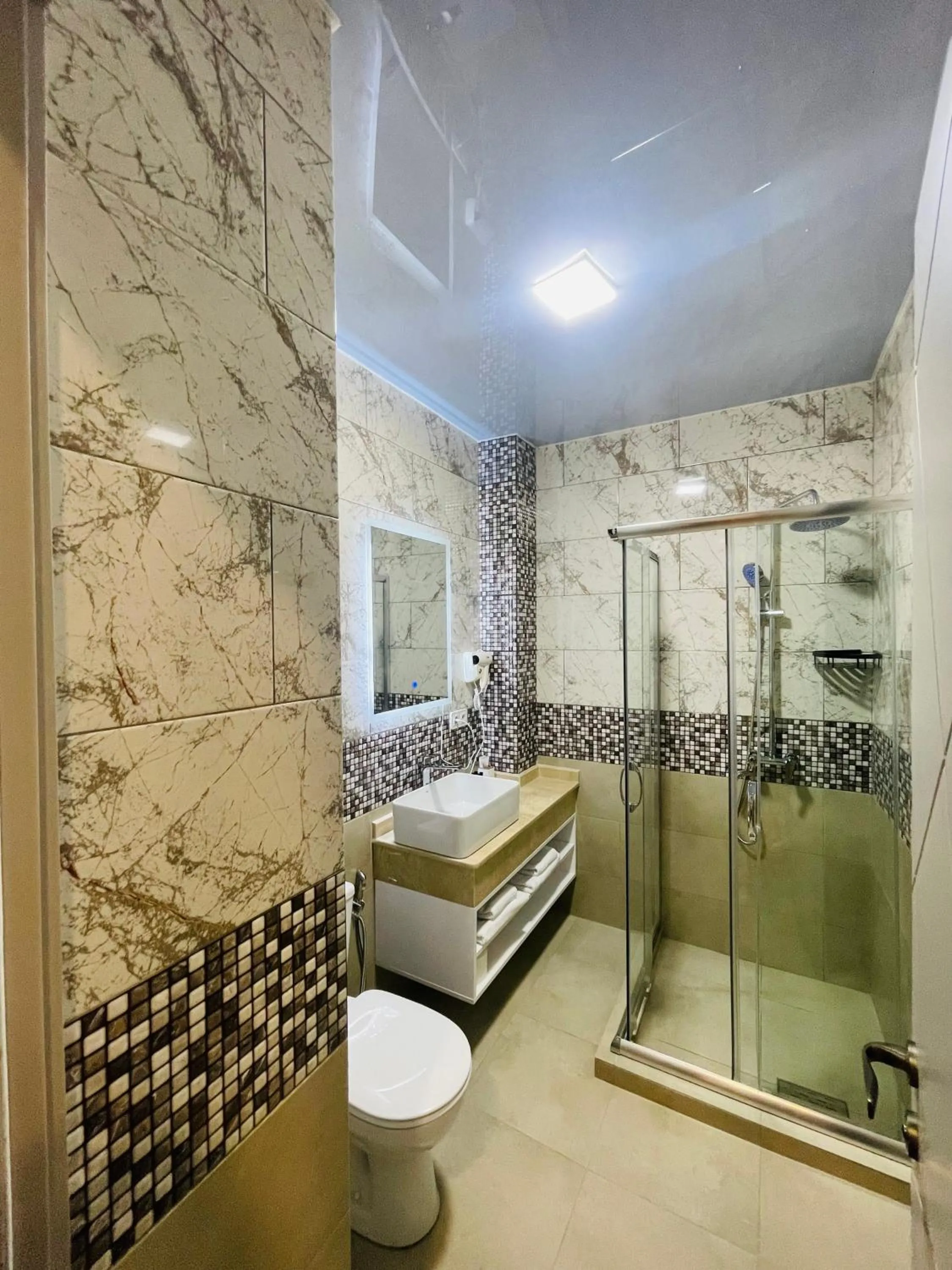 Shower in DADIANI Inn