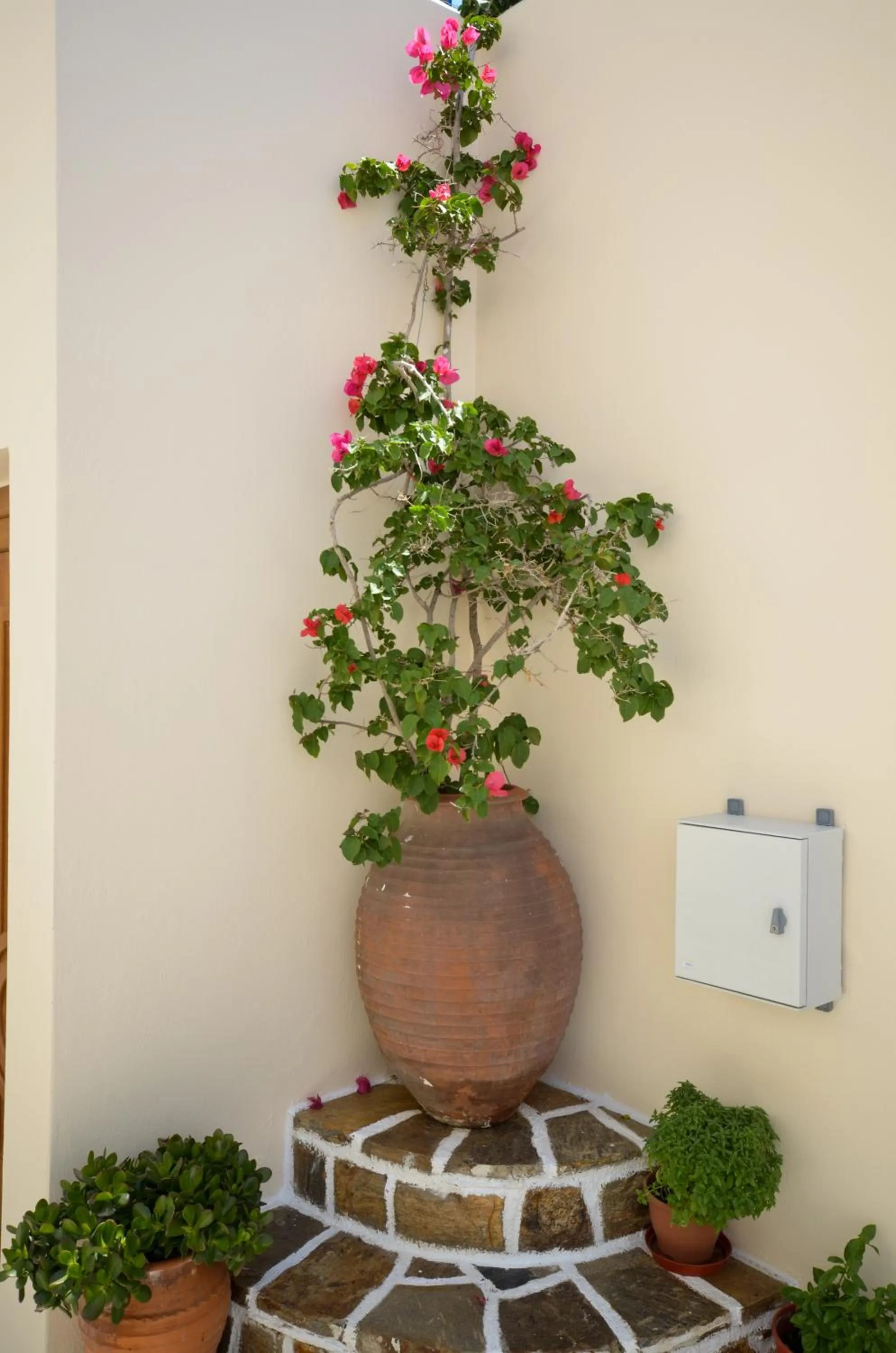 Balcony/Terrace in Margo Studios