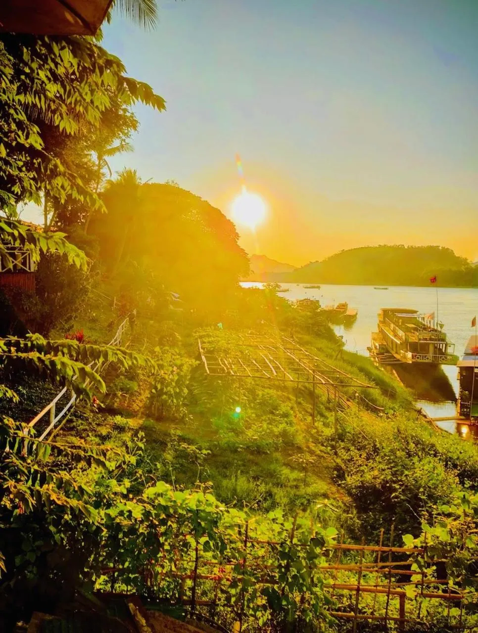 Natural landscape in Villa Alounsavath Mekong Riverside
