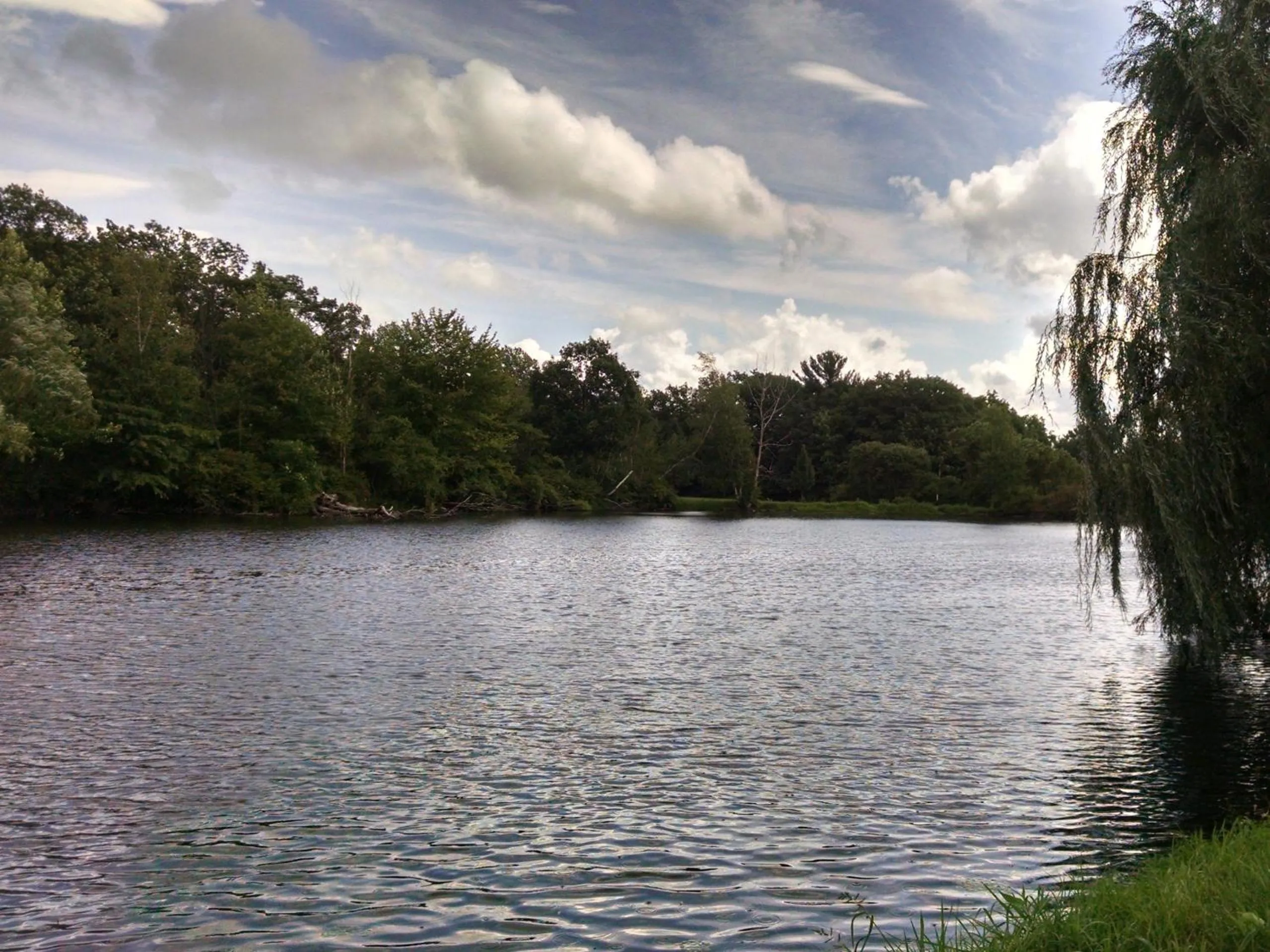 View (from property/room) in The Bavarian Manor Hotel
