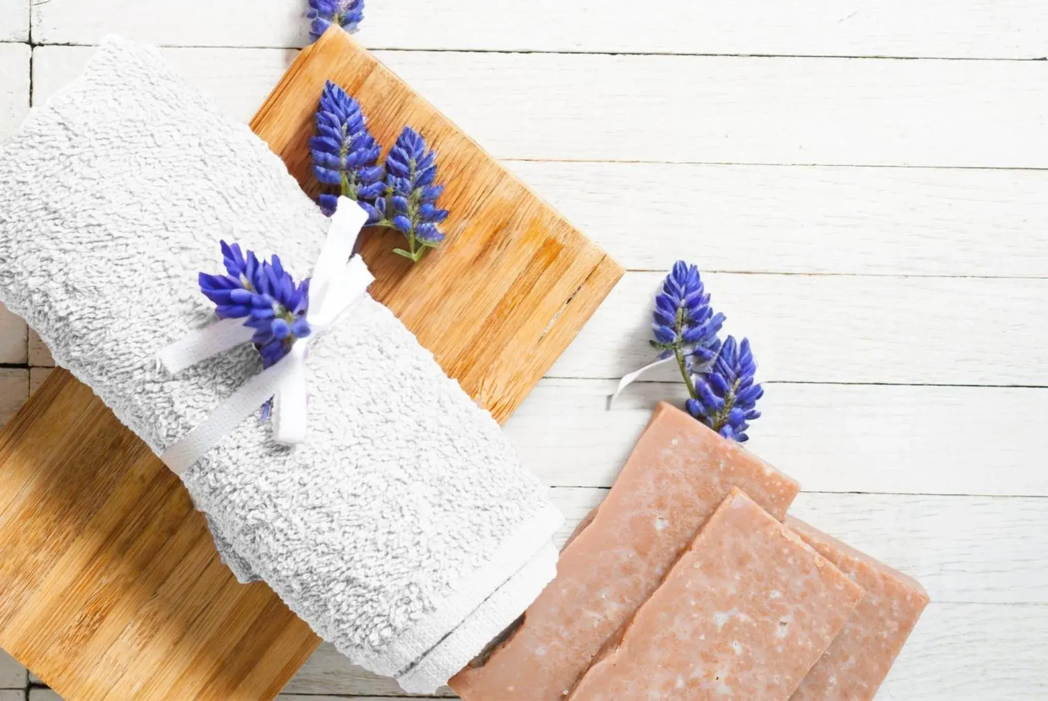 Loews Arlington Hotel Loews Arlington Hotel