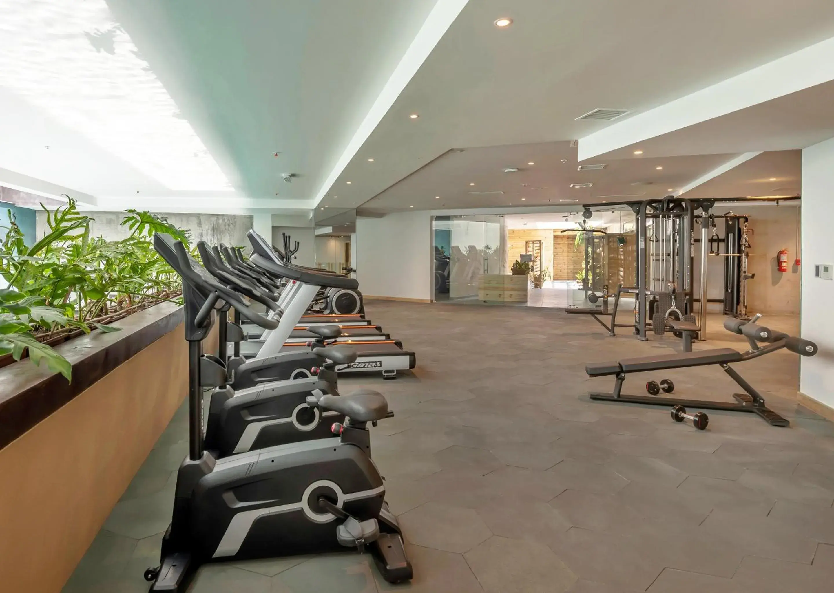 Fitness centre/facilities in GO Quito Hotel Fitness centre/facilities in GO Quito Hotel