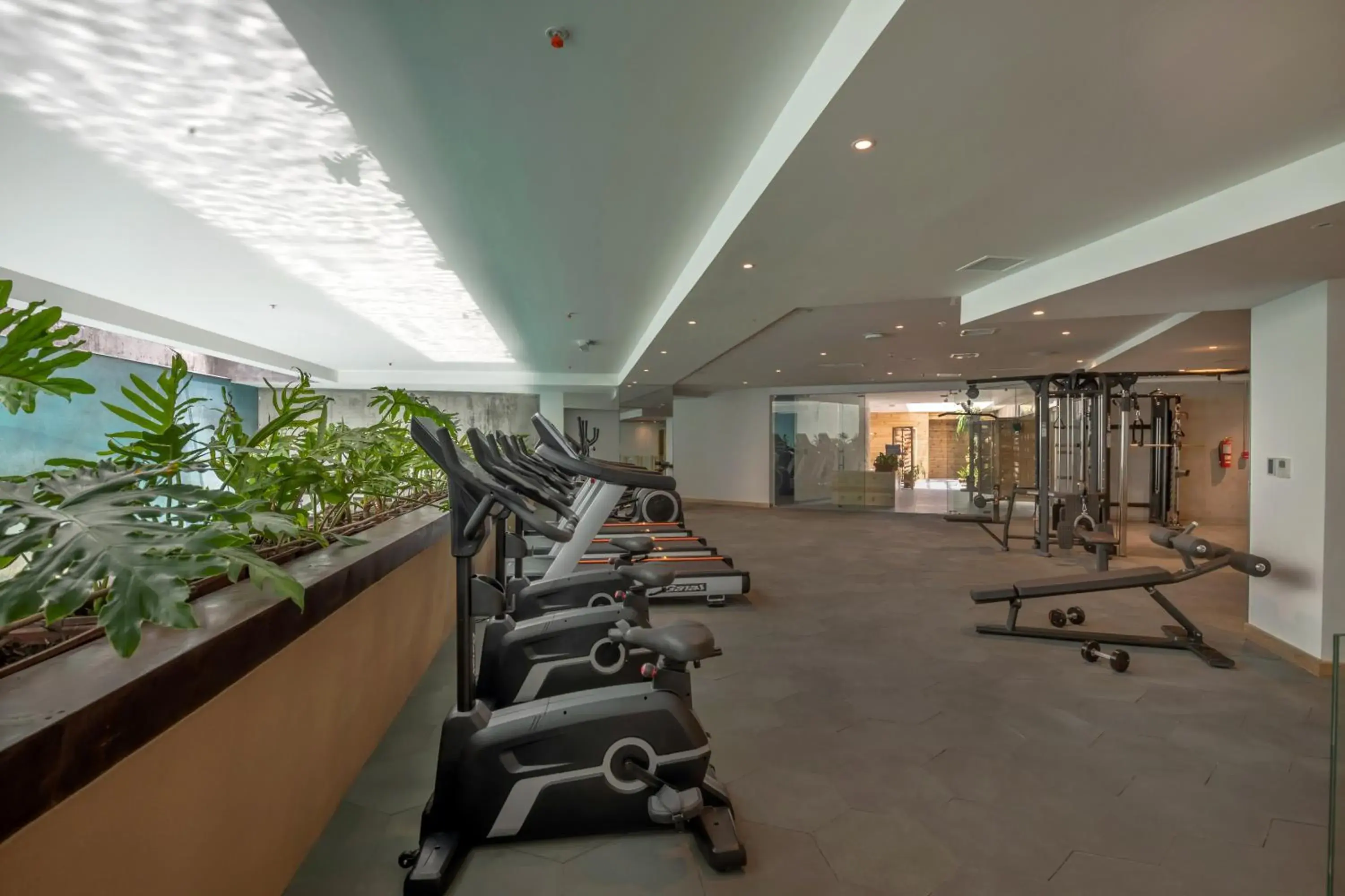 Fitness centre/facilities in GO Quito Hotel Fitness centre/facilities in GO Quito Hotel