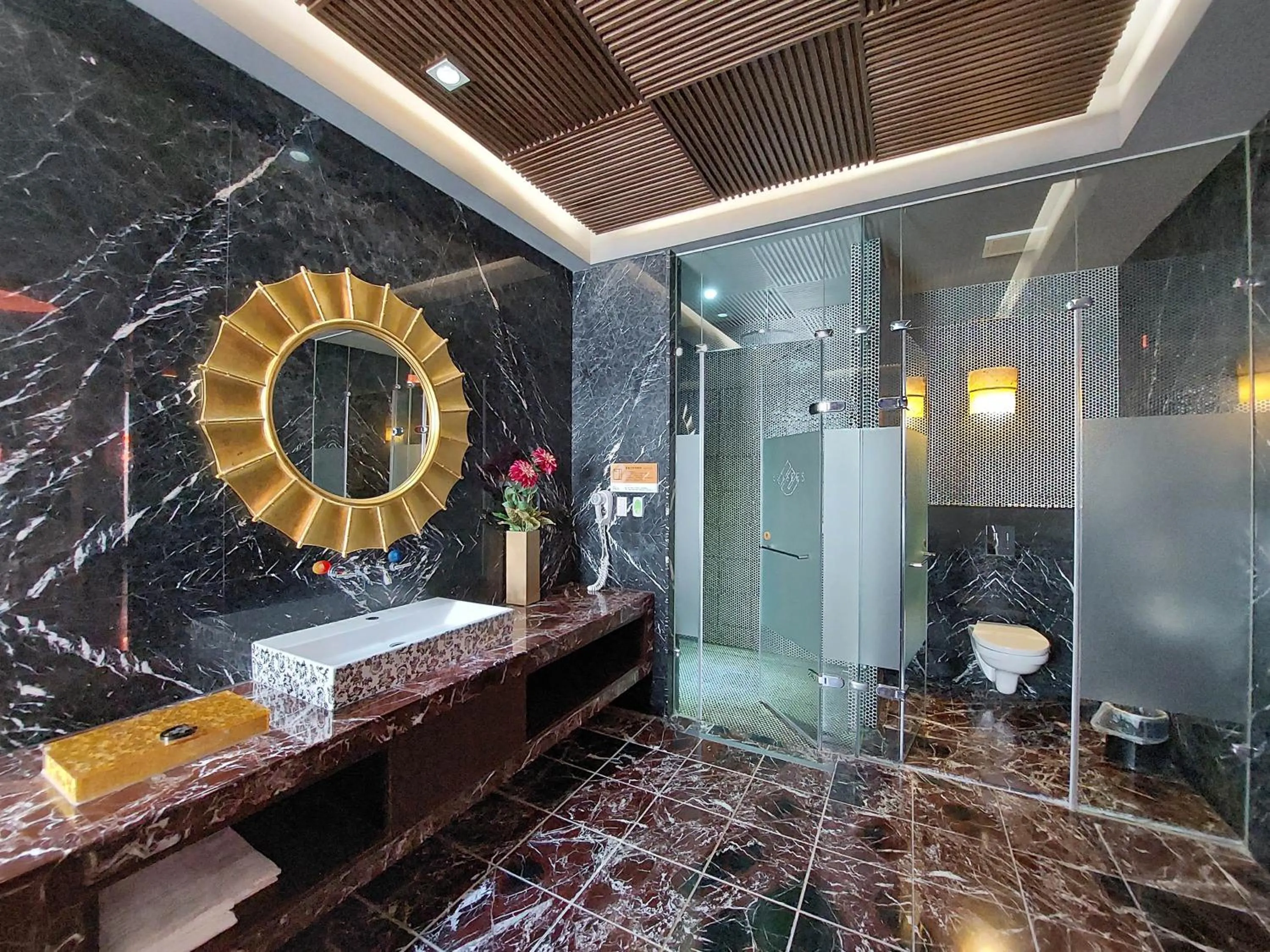 Shower in Elysees Motel