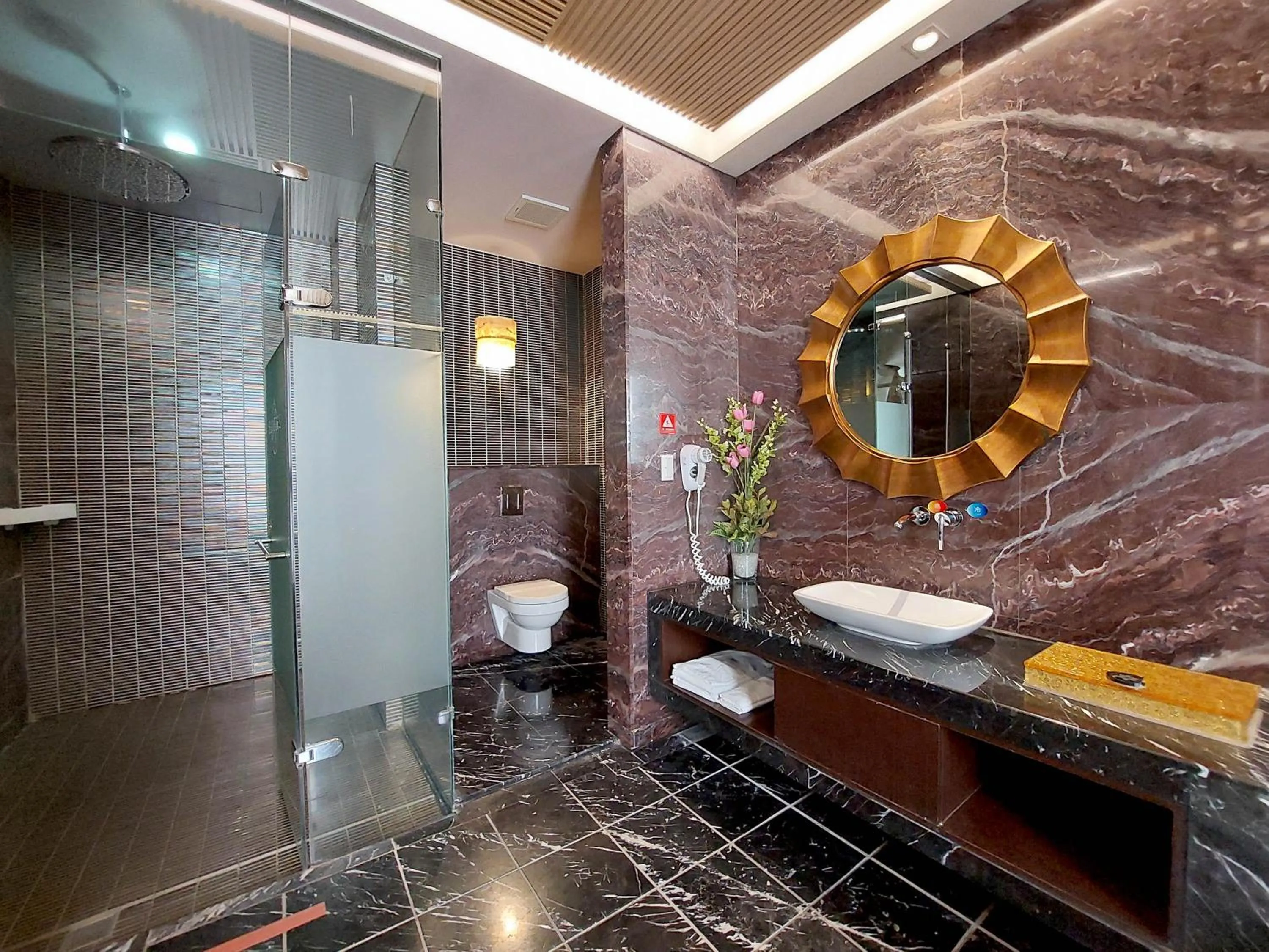 Shower in Elysees Motel