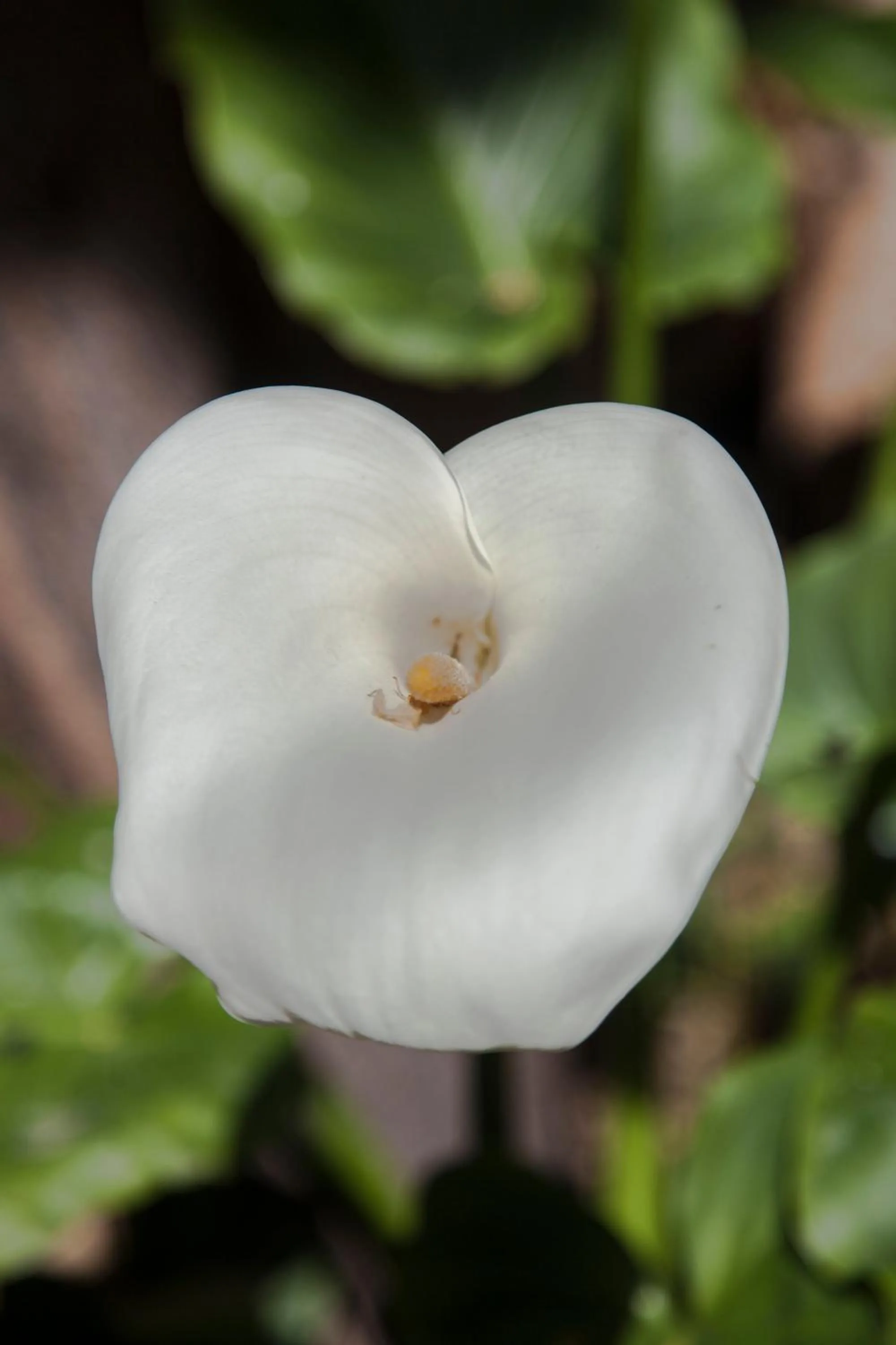 Decorative detail in KasteliSuites