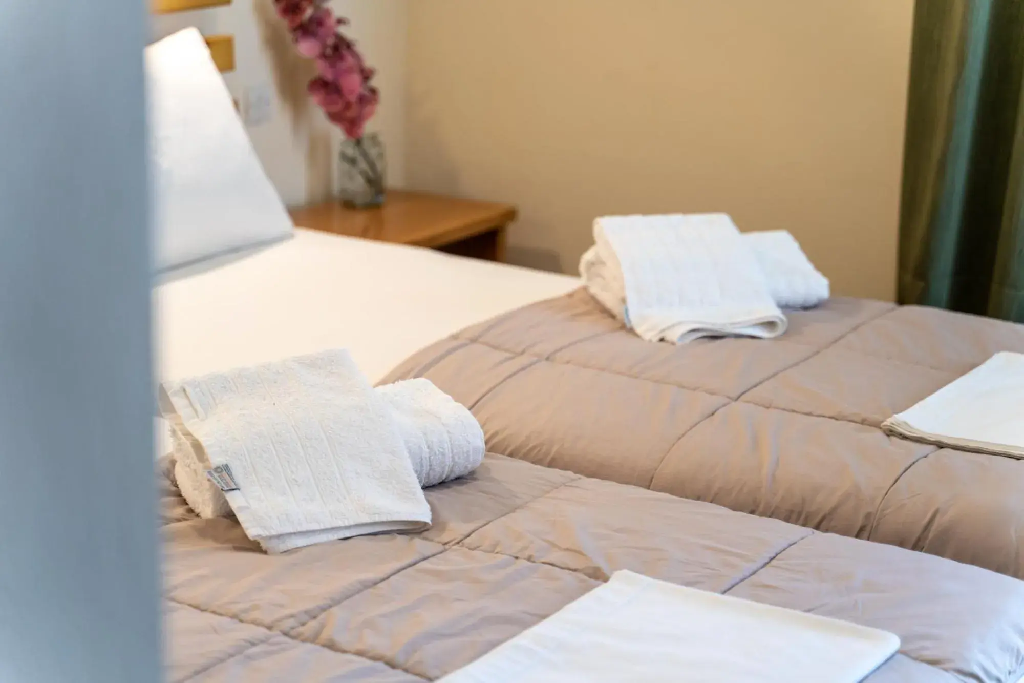 Single Room in Hotel Hercules Single Room in Hotel Hercules