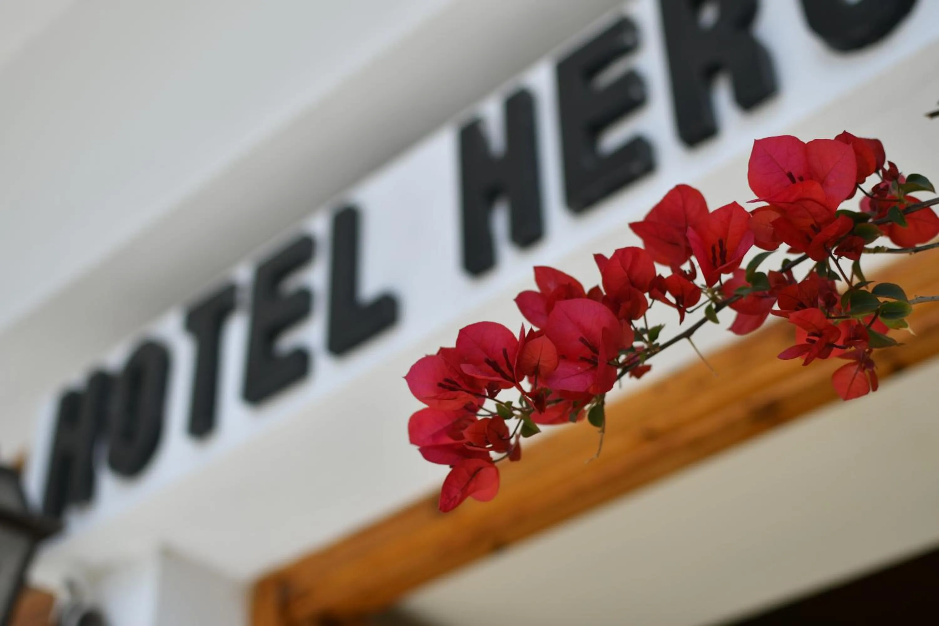 Facade/entrance in Hotel Hercules