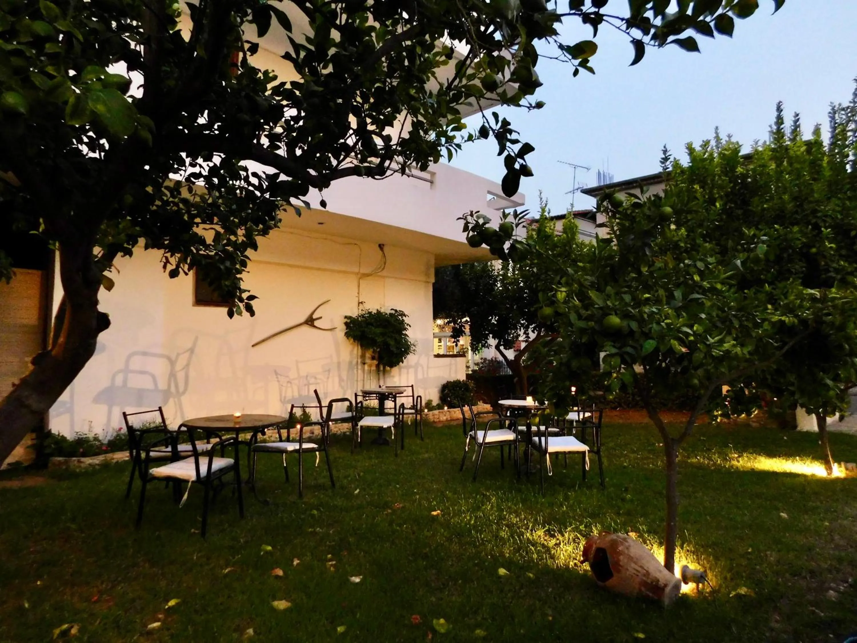 Garden in Hotel Hercules