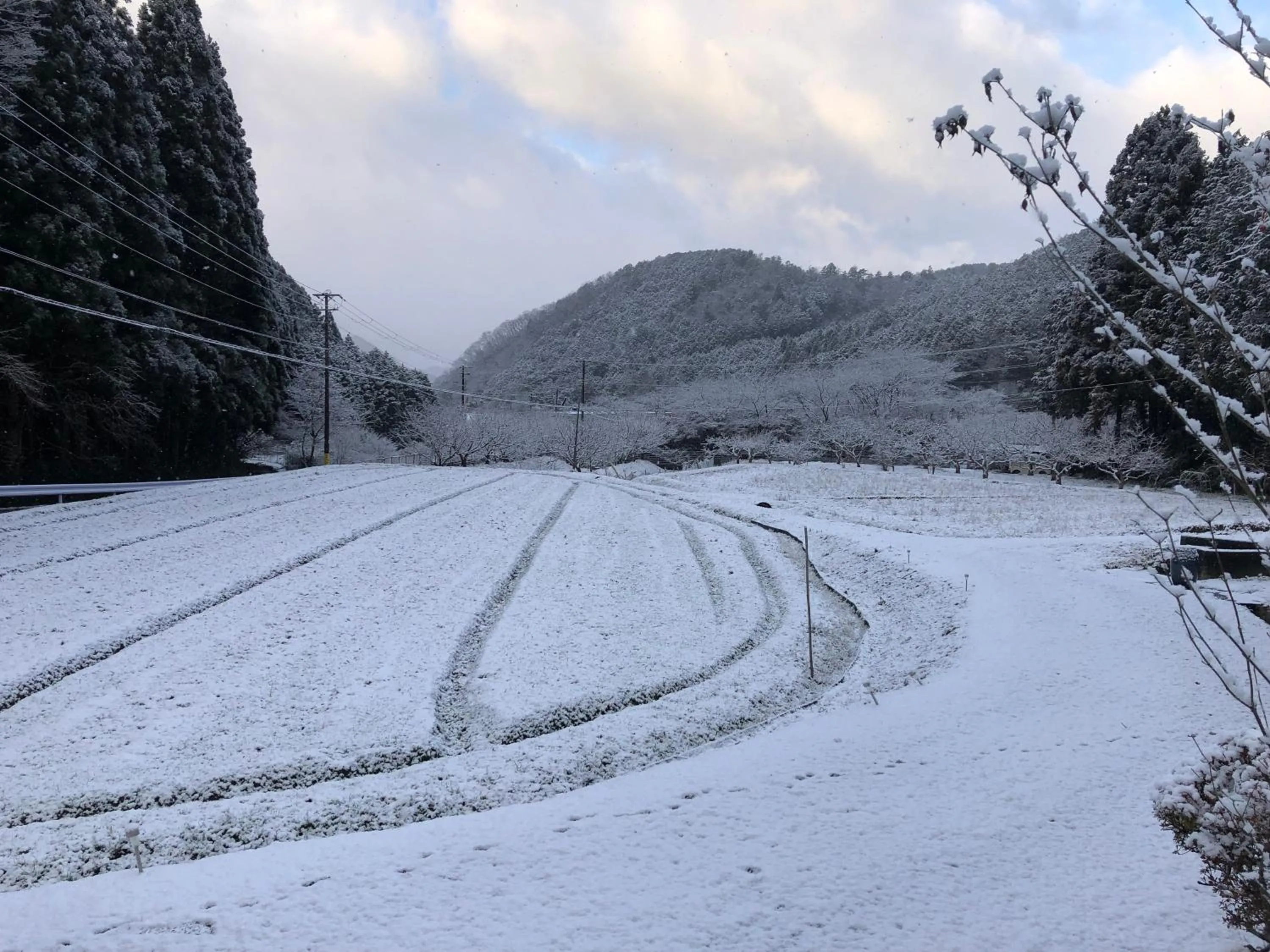 Off site in Satoyama Hotel Kanenone Tamba