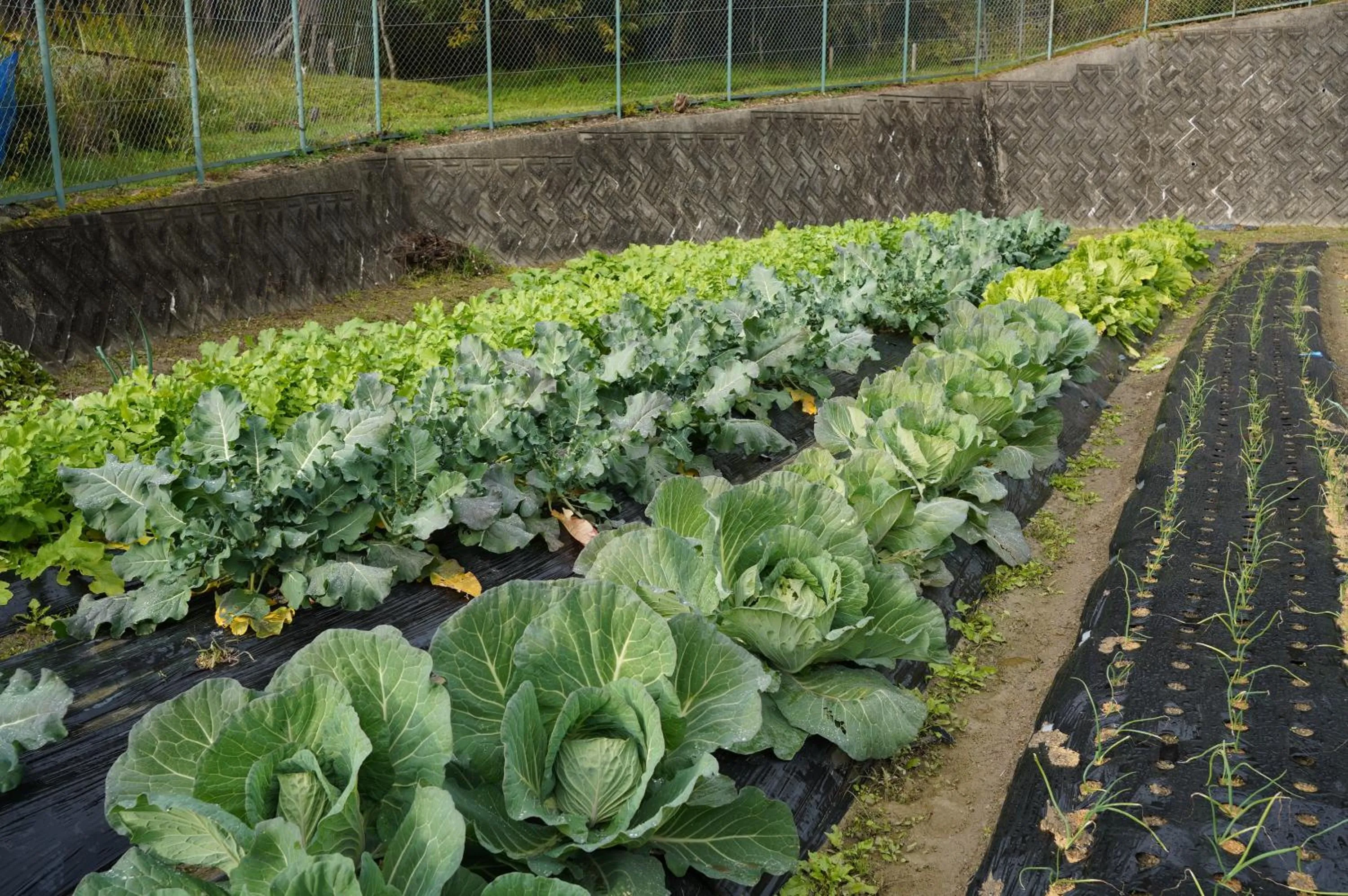 On site in Satoyama Hotel Kanenone Tamba