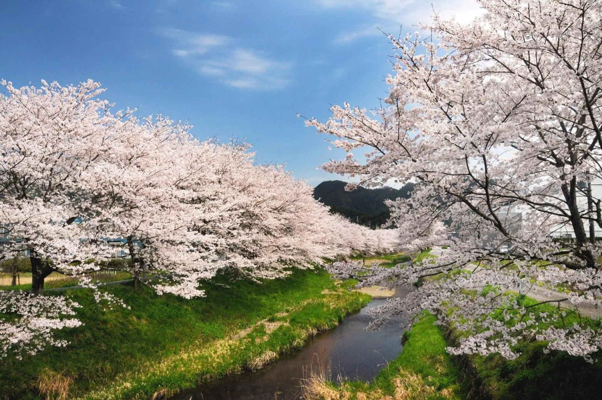 Nearby landmark in Satoyama Hotel Kanenone Tamba