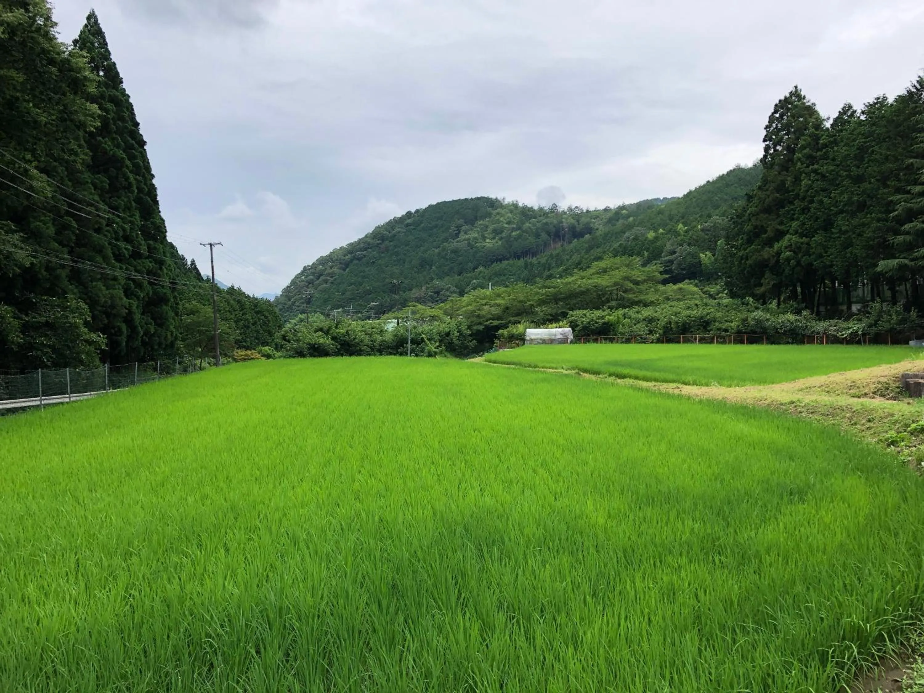 Off site in Satoyama Hotel Kanenone Tamba