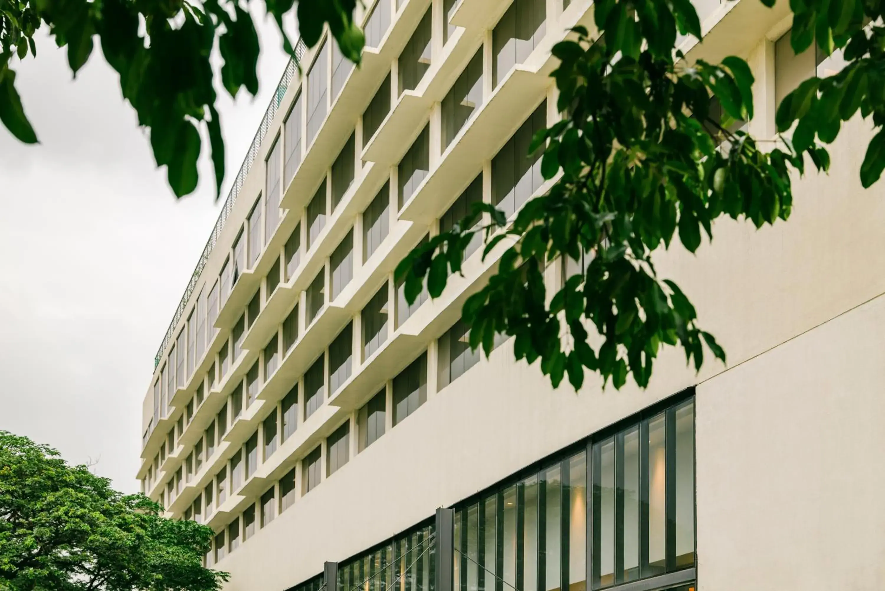 Property building in Greenpark Bengaluru Property building in Greenpark Bengaluru