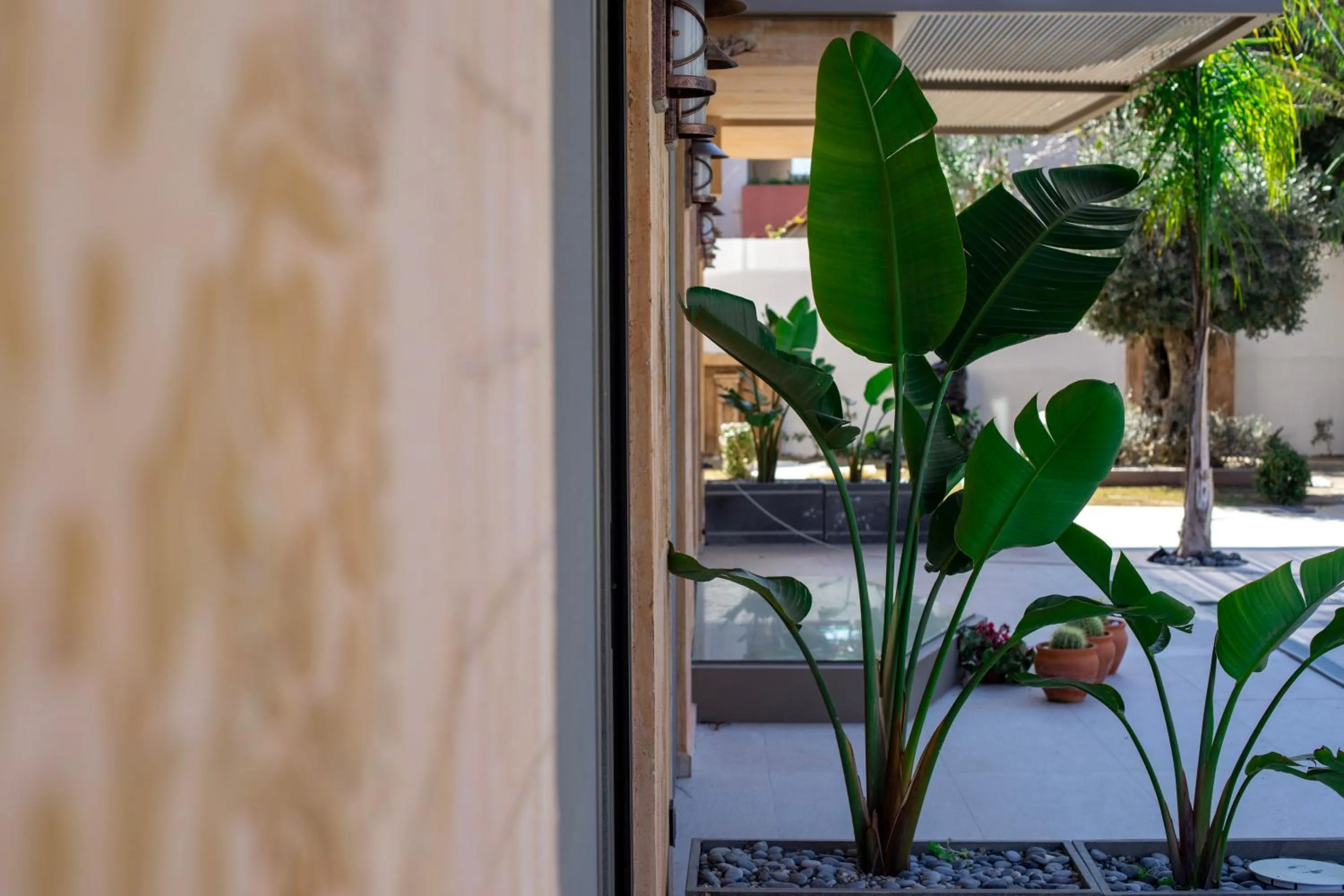 Pool view in Sezz Hotels Spa Wellness Yalikavak Adult Only