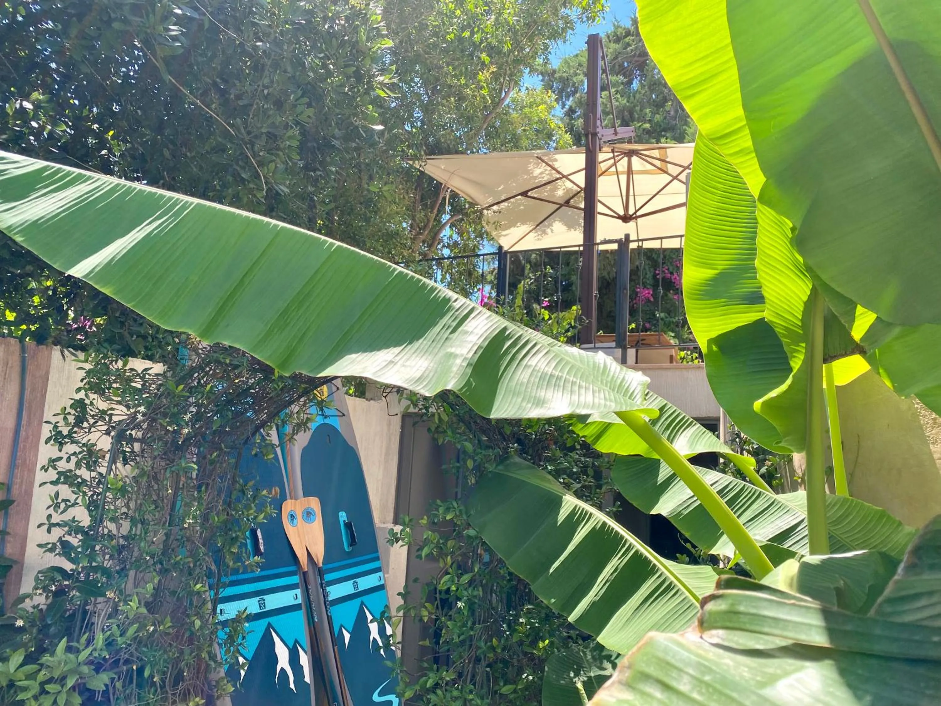 Garden in Sezz Hotels Spa Wellness Yalikavak Adult Only