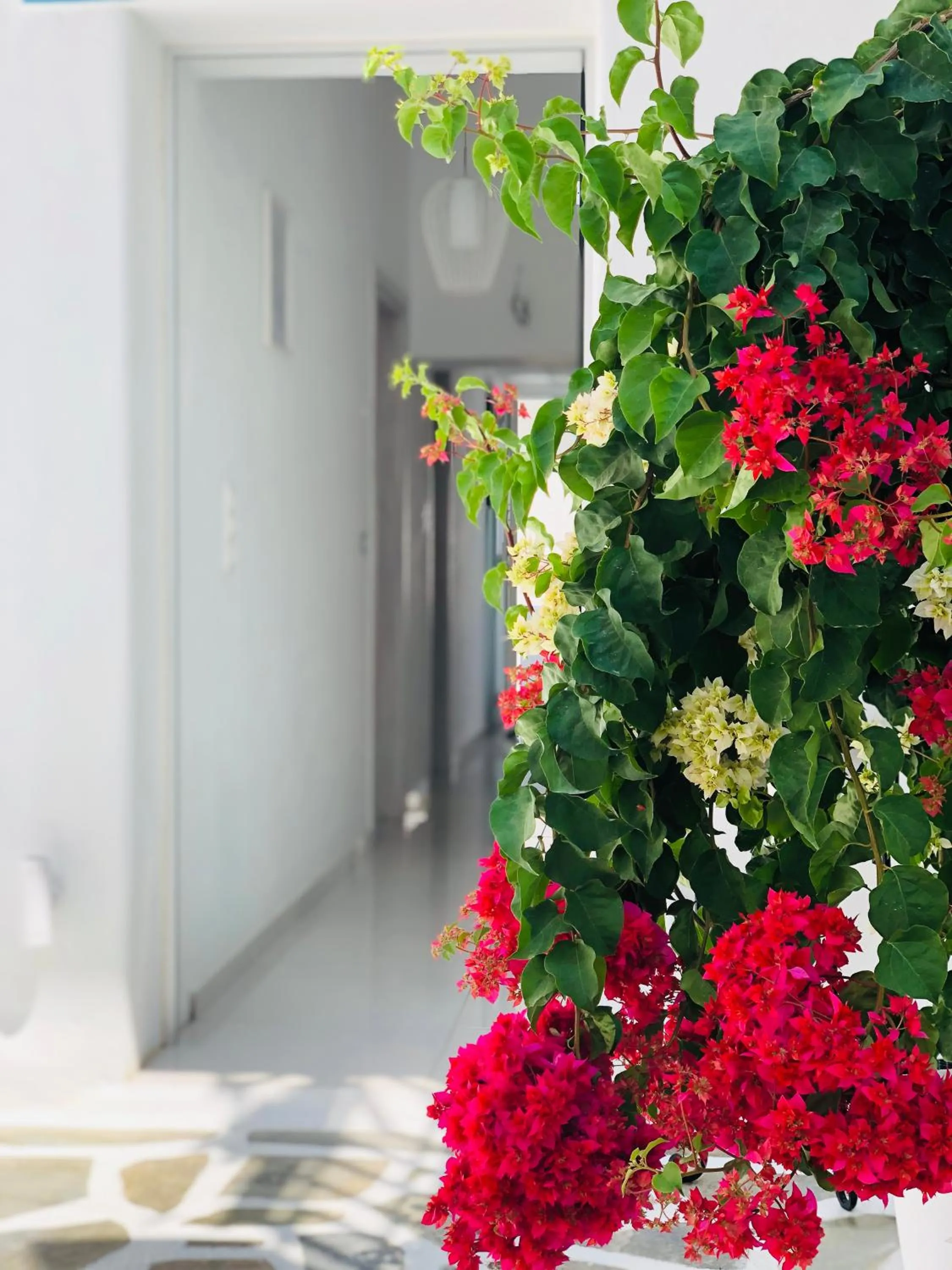 Decorative detail in Taki's Guests