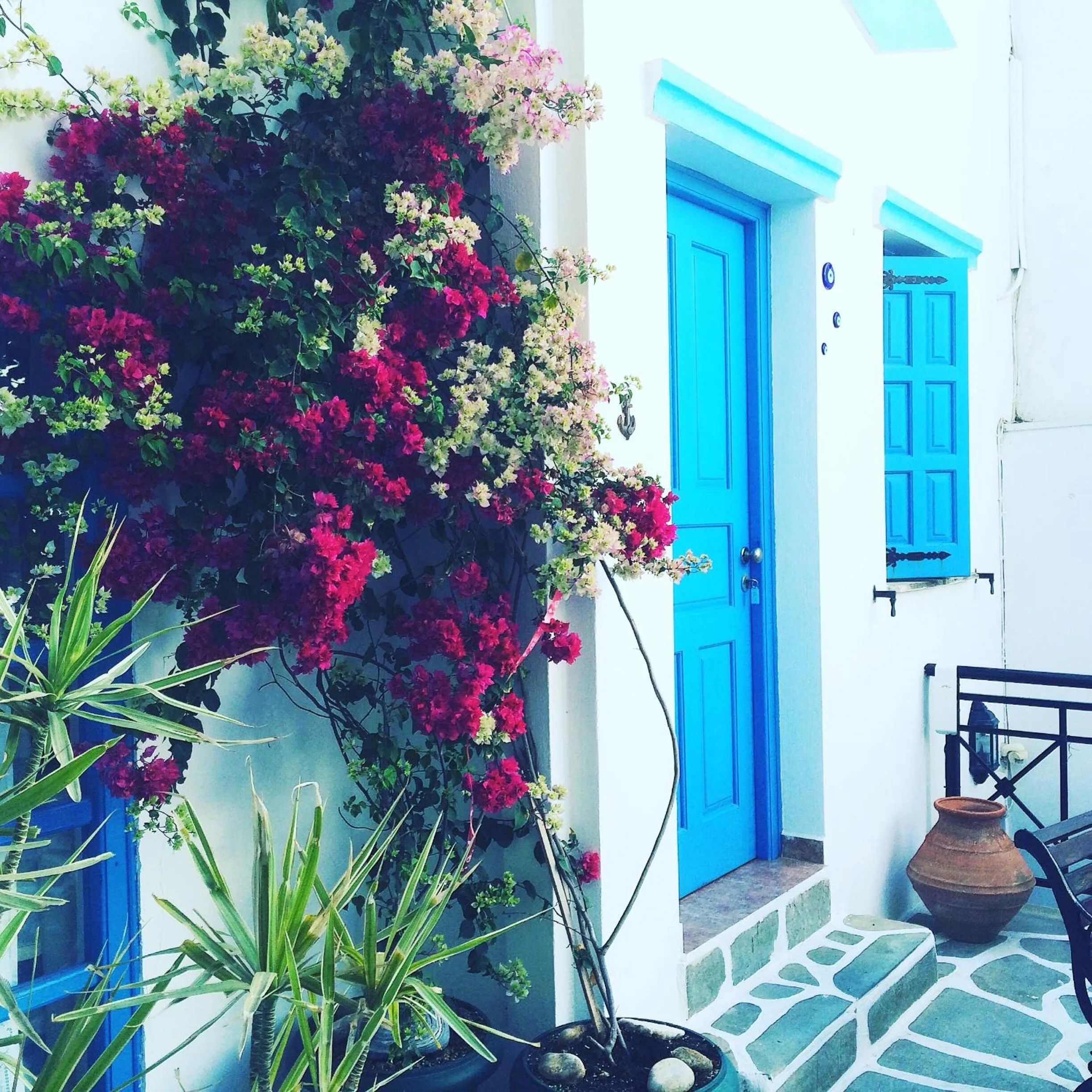 Decorative detail in Taki's Guests