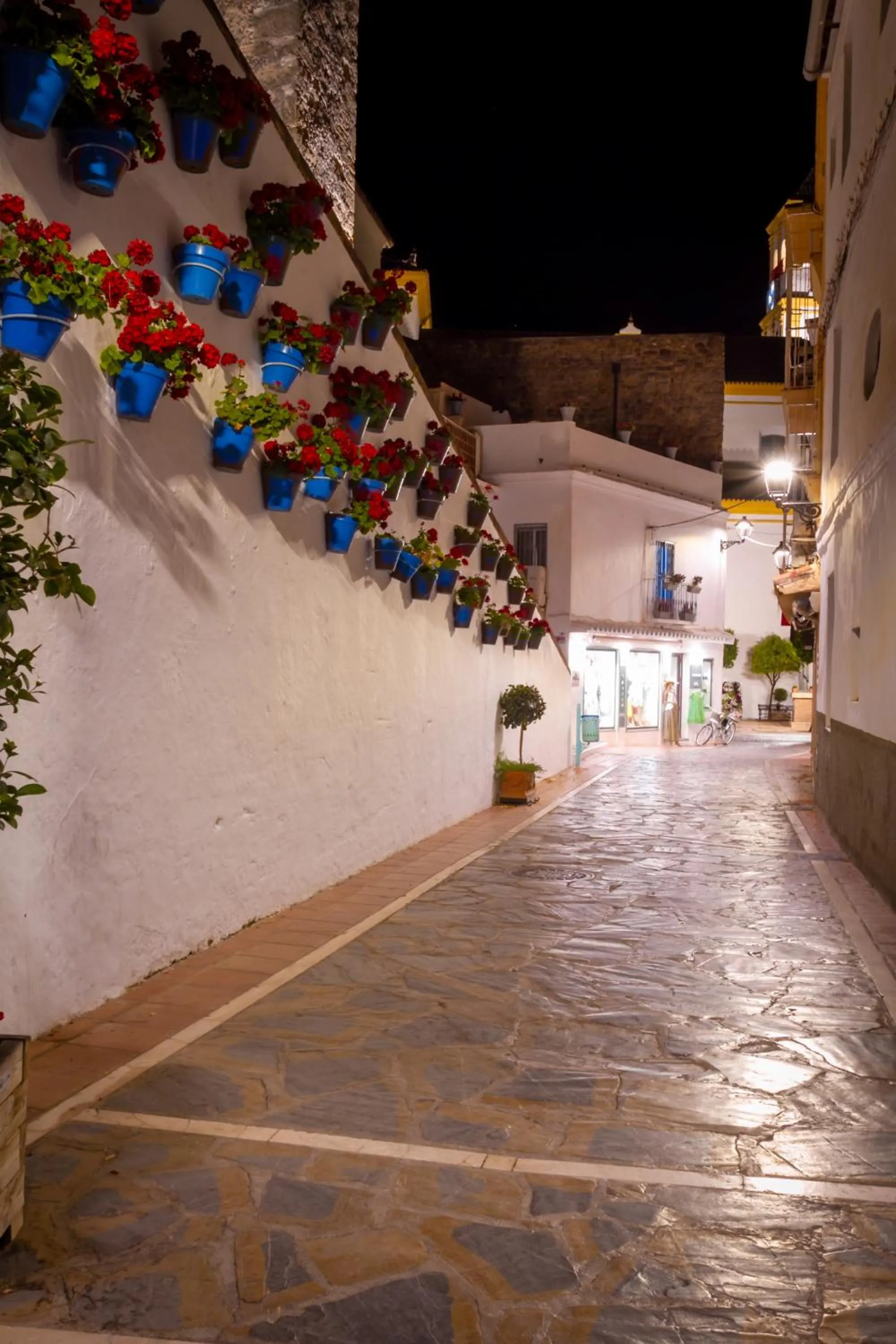 Nearby landmark in MARBELLA BANUS SUITES - Marbella Centre Soriano 56 Suite Apartment