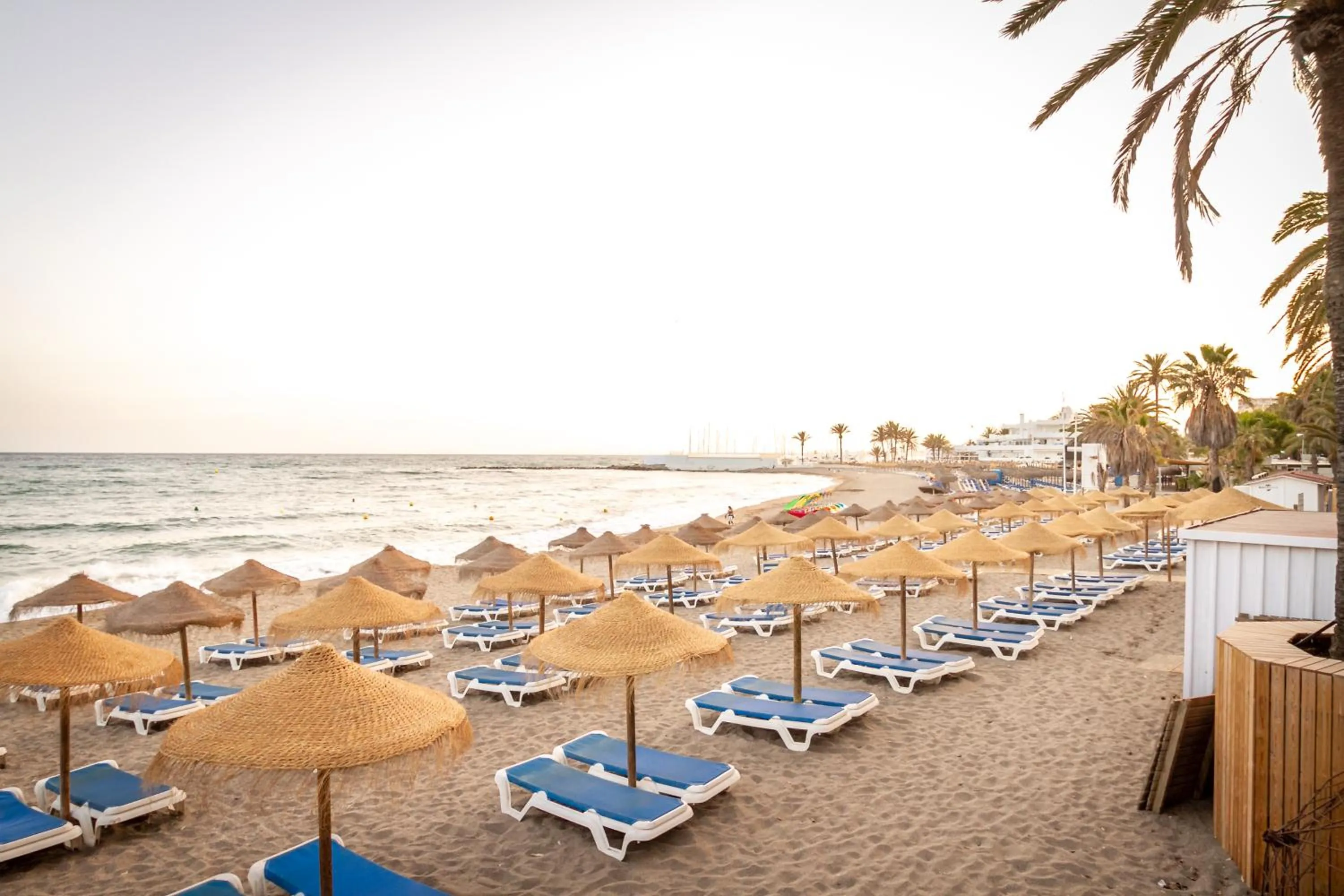 Day in MARBELLA BANUS SUITES - Marbella Centre Soriano 56 Suite Apartment