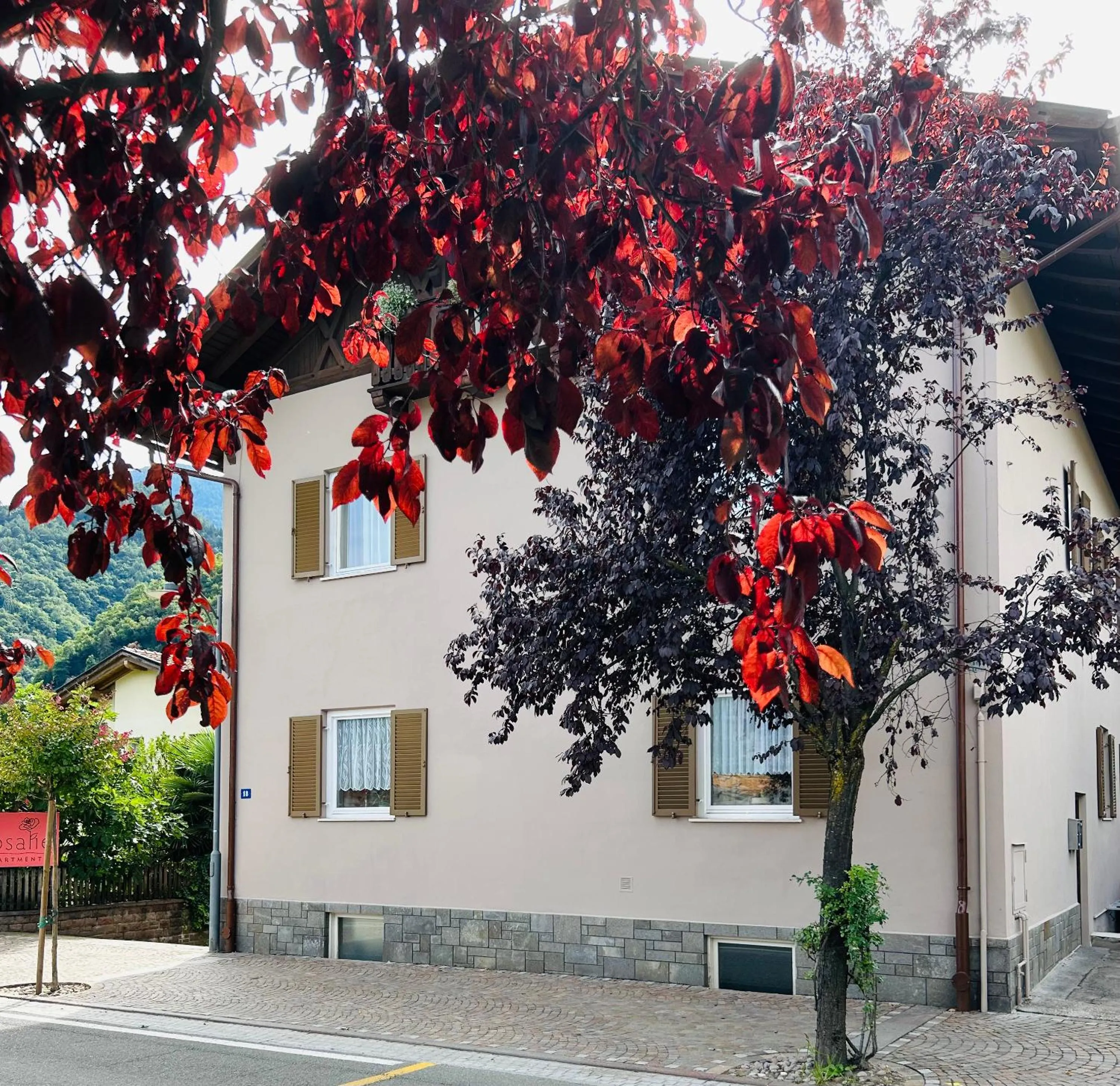 Property building in Rosalie Apartments