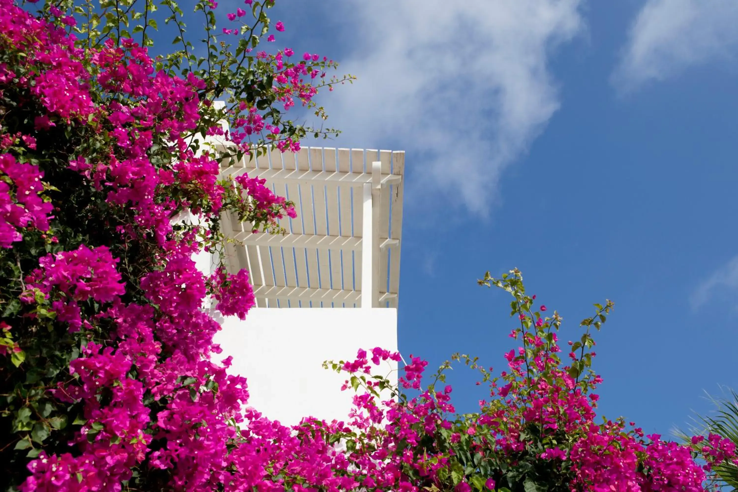 Property building in Meli Meli Property building in Meli Meli