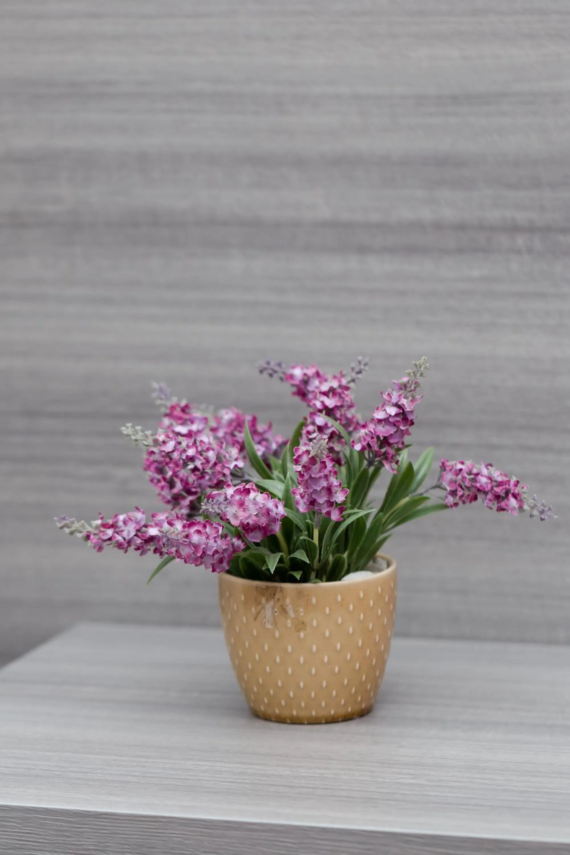 Affittacamere Alessia