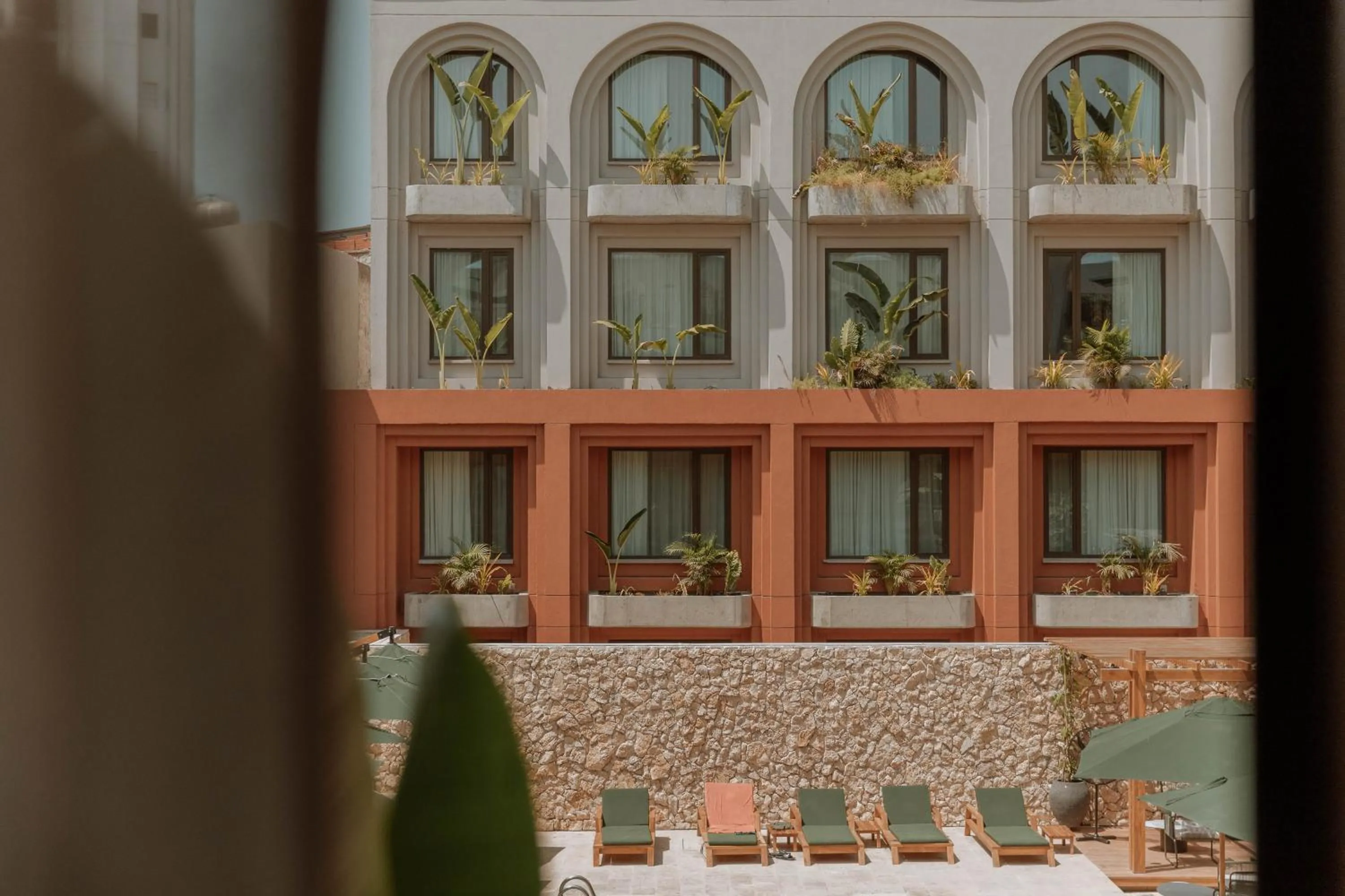 Garden in Osh Hotel Cartagena